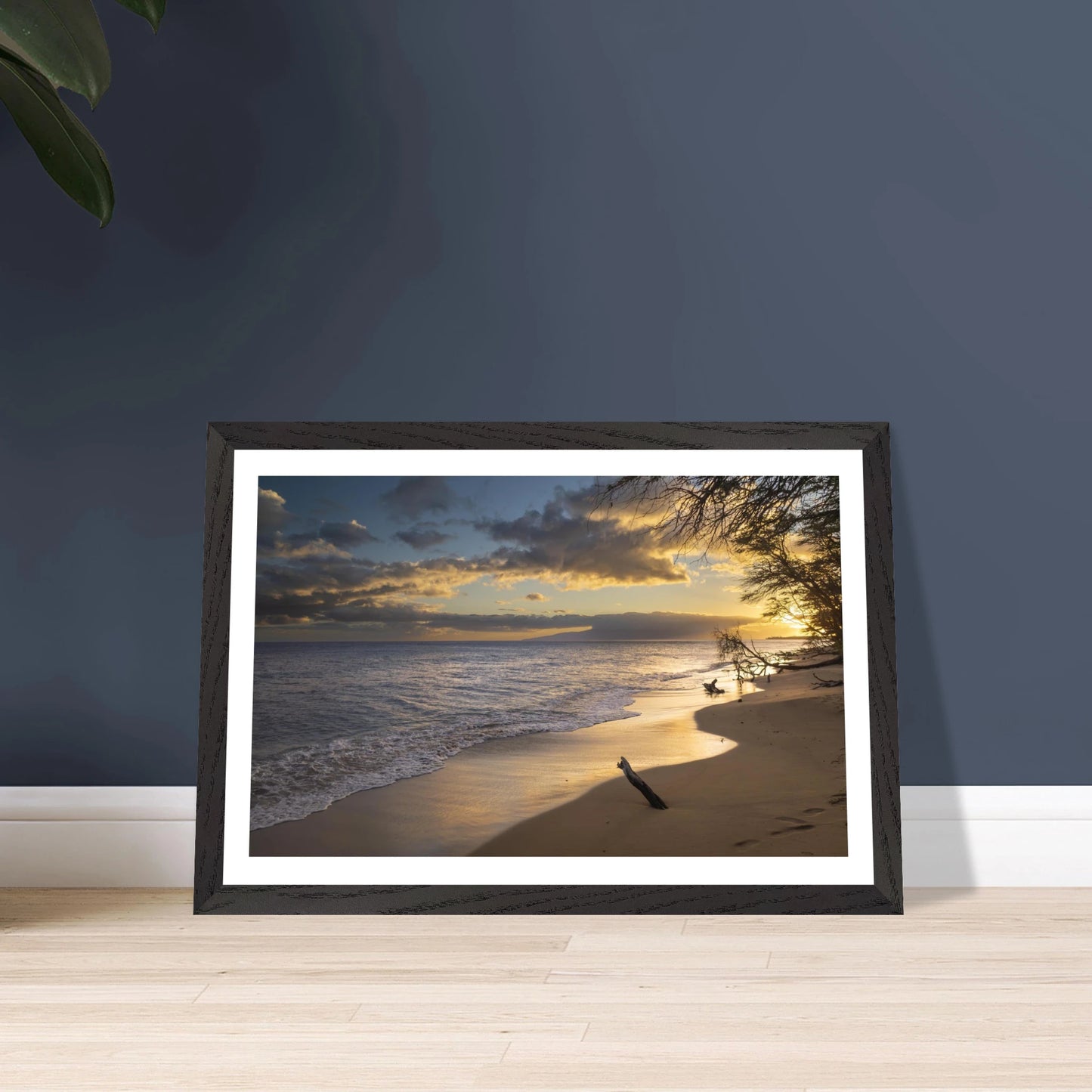 51cba9fe-d984-47eb-a653-afe45c37ea2c