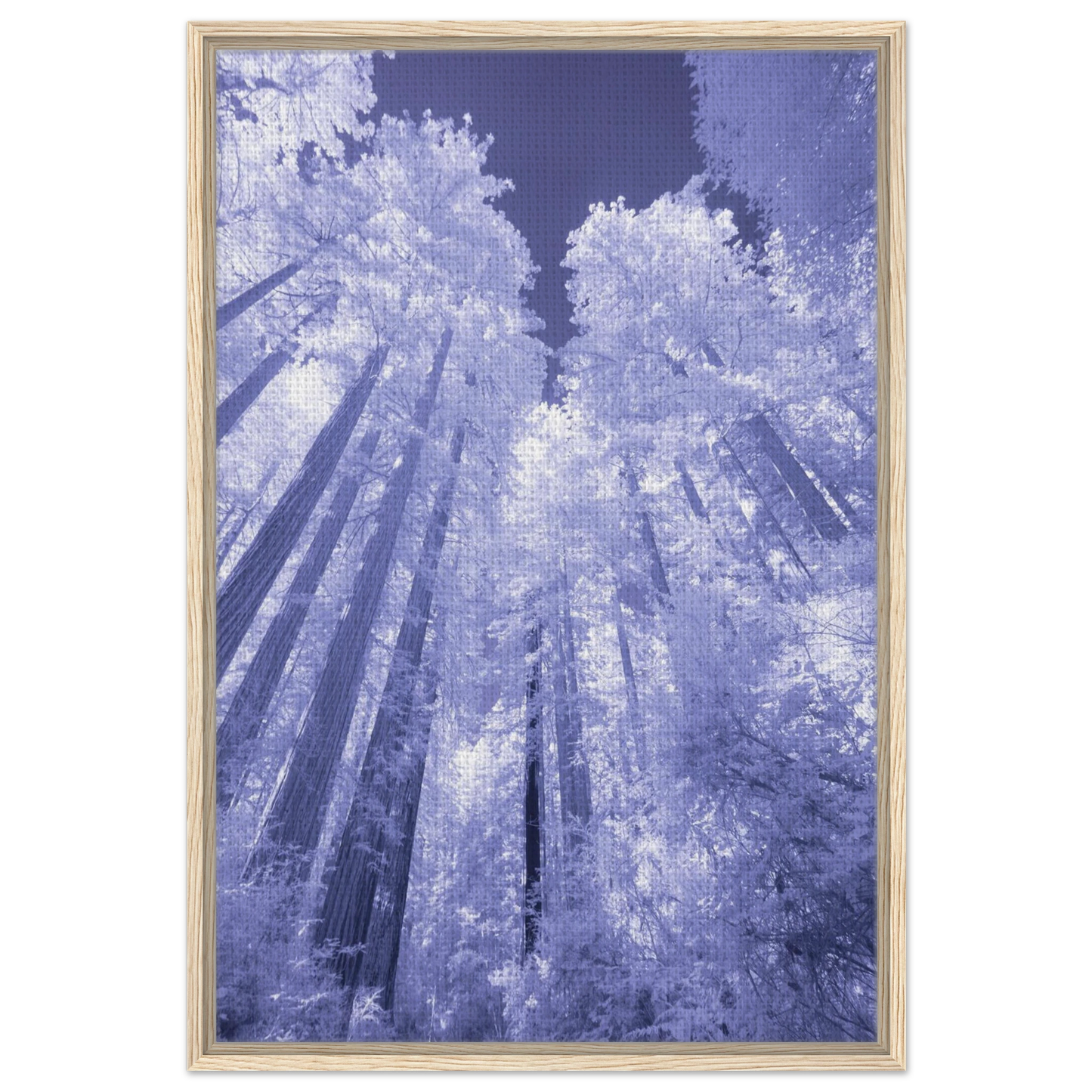 545f9070-953b-41f3-b1cf-34cc48a86445