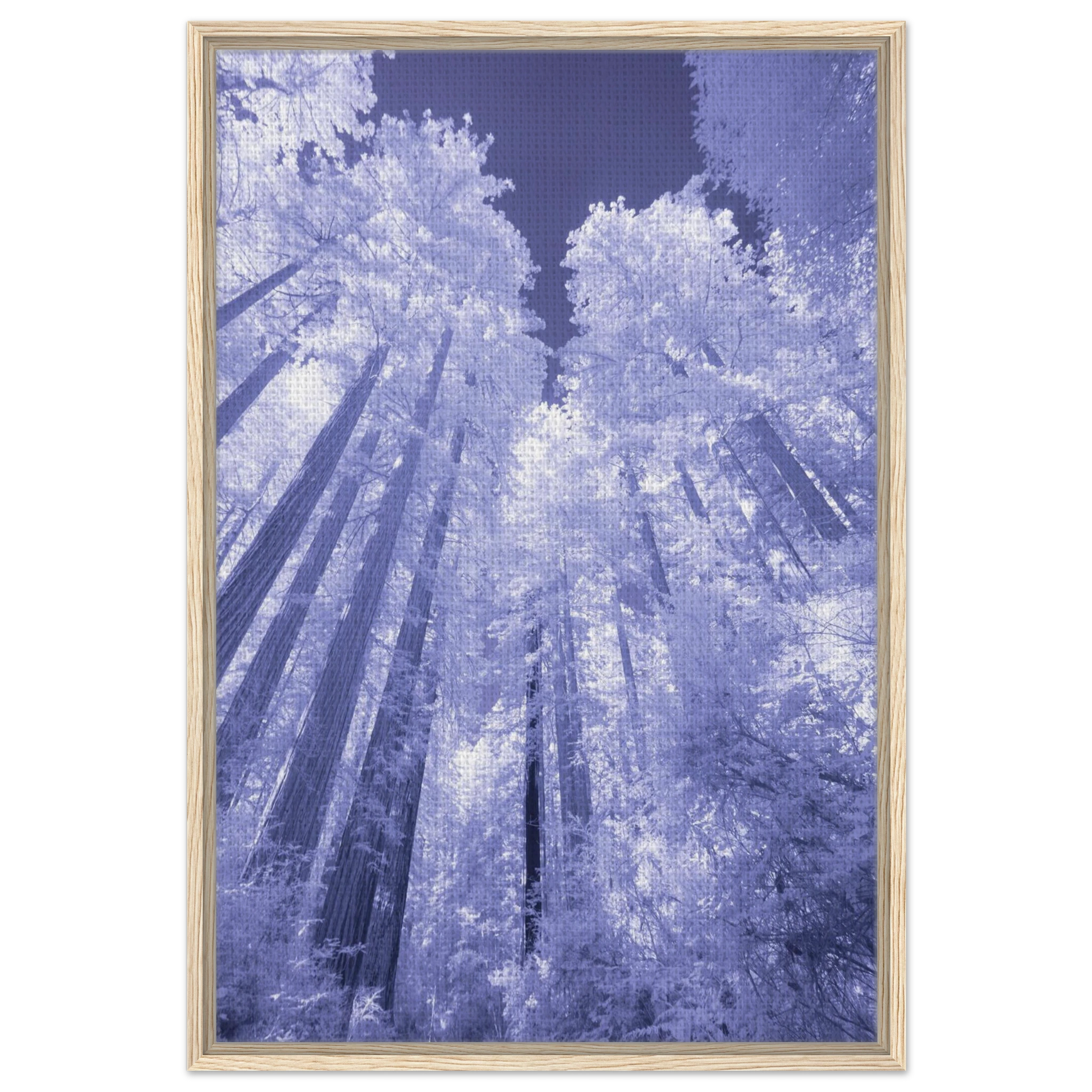 545f9070-953b-41f3-b1cf-34cc48a86445