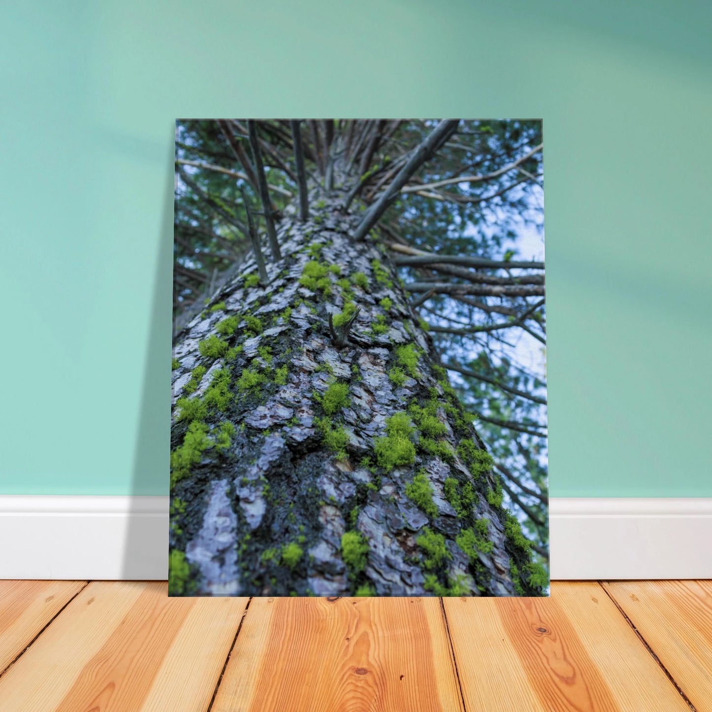 54810f22-e03d-4eec-814c-4836b70389f1