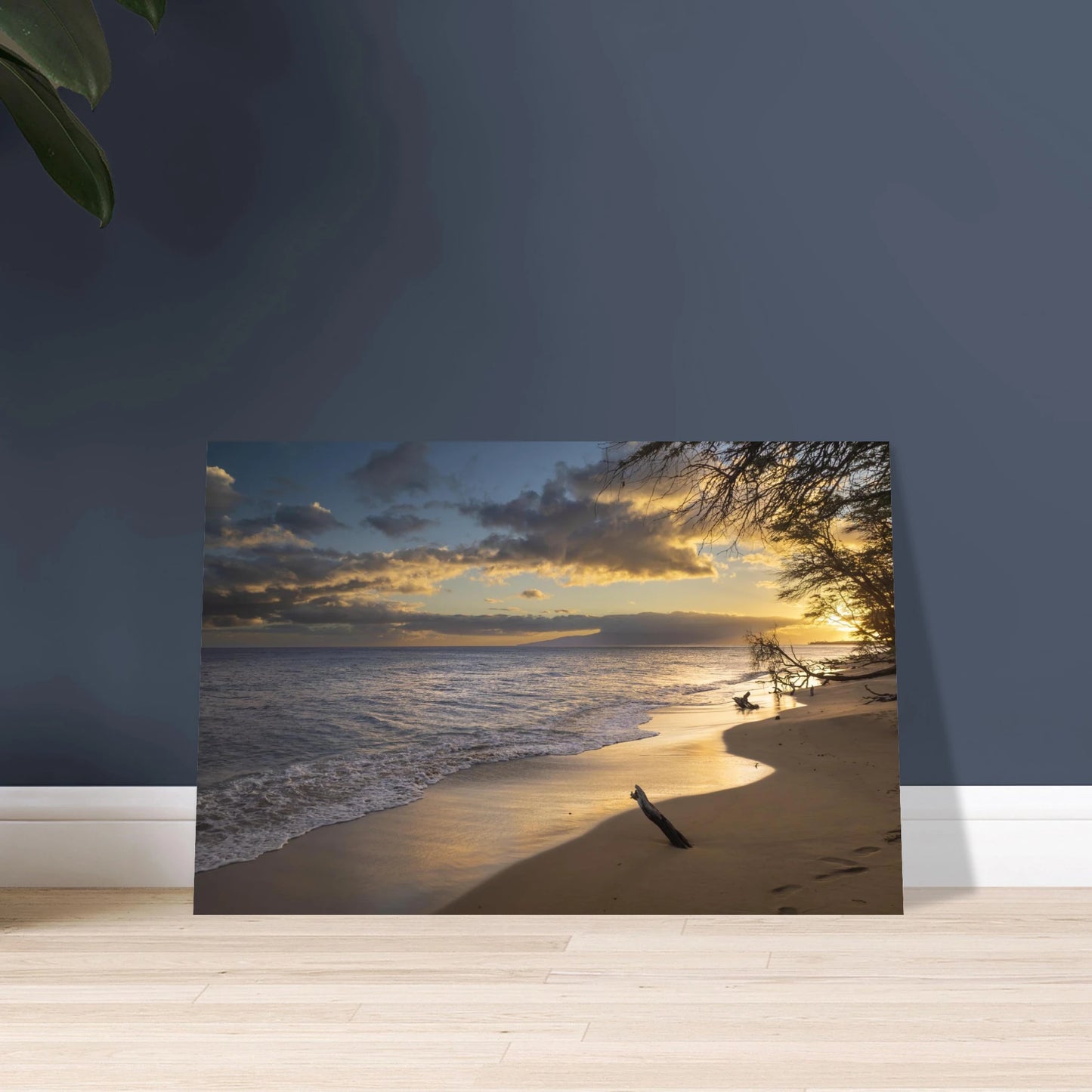 551baf34-d86c-4260-be73-bfefbaf4a70e