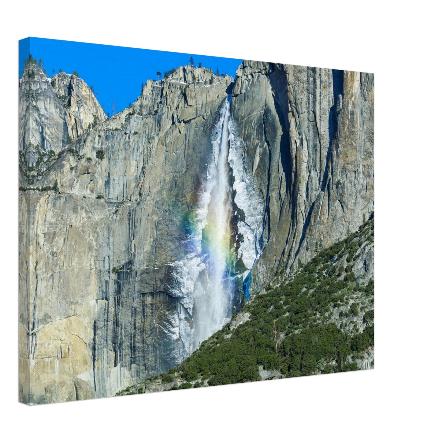 5581c318-9590-4283-b964-22c4448bcab5