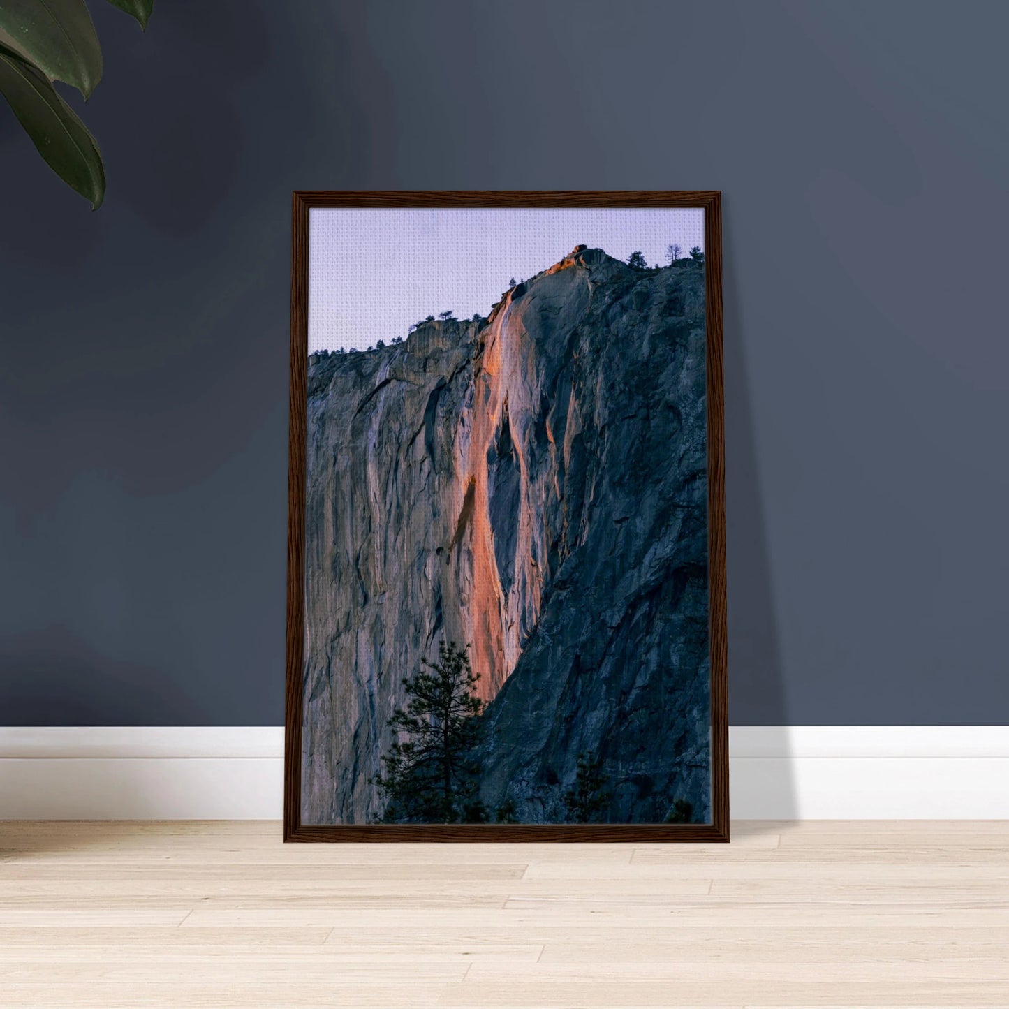 55f675eb-c9a8-4282-b47b-b5c7e29d1d38