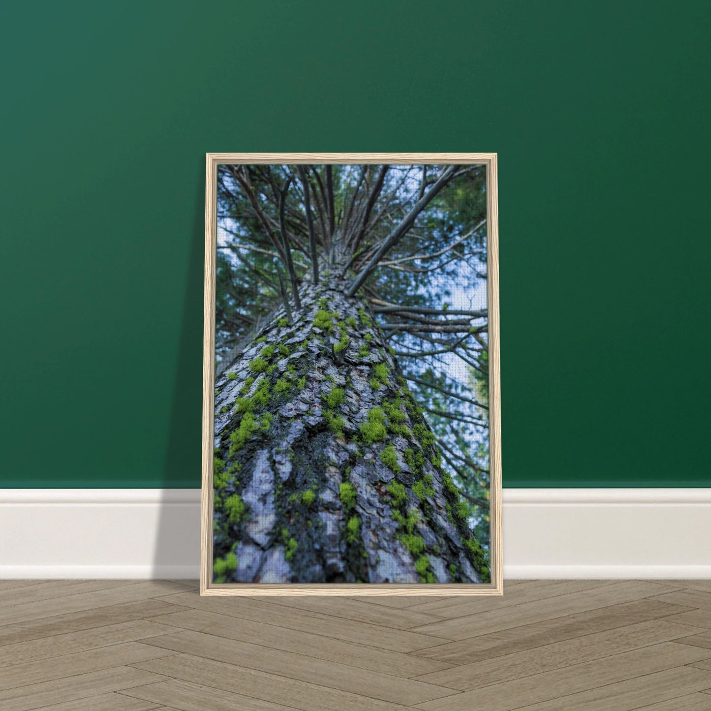 560b27ca-f314-454f-a80a-a1d6e85297bc