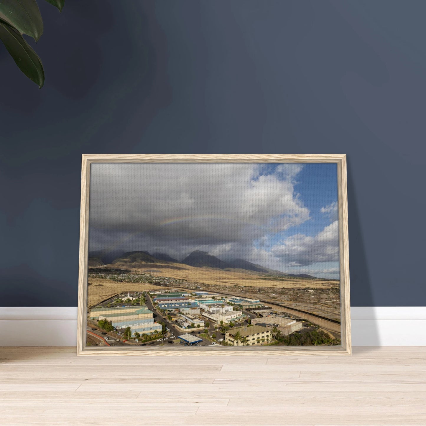 56e07009-1032-49bb-9423-b98f58d72185