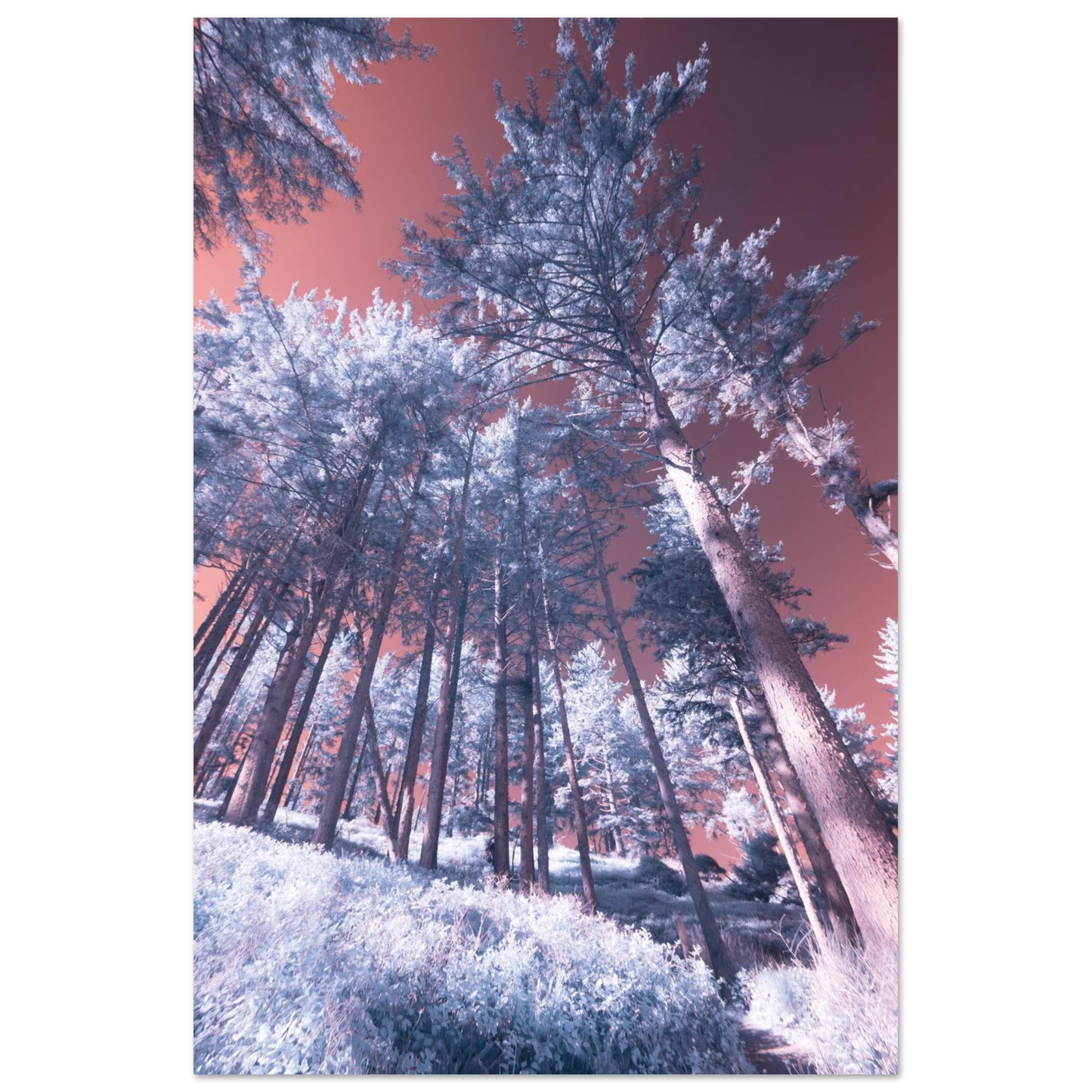 57f663c6-f911-4533-86ae-ef09a421cc9d