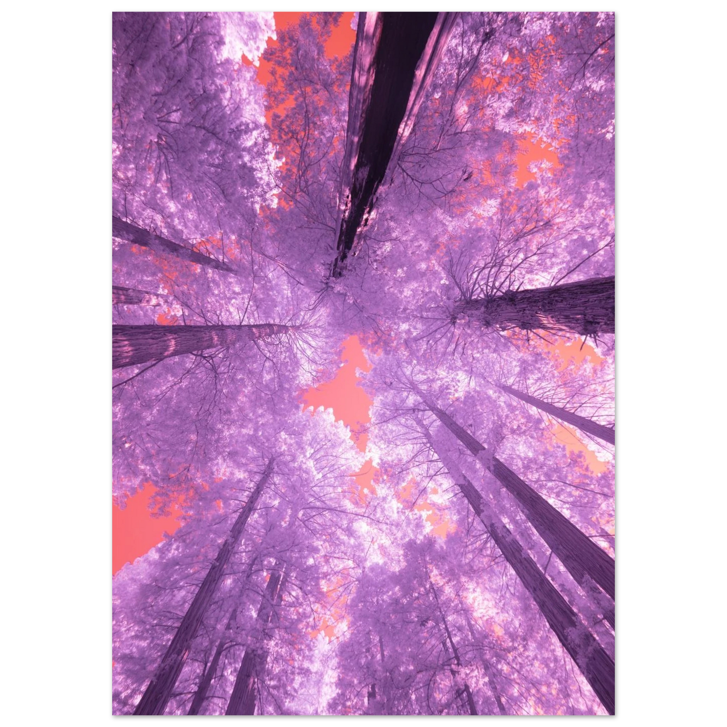 5a5dacb9-5f67-41b7-a9c7-e3051e9083b2