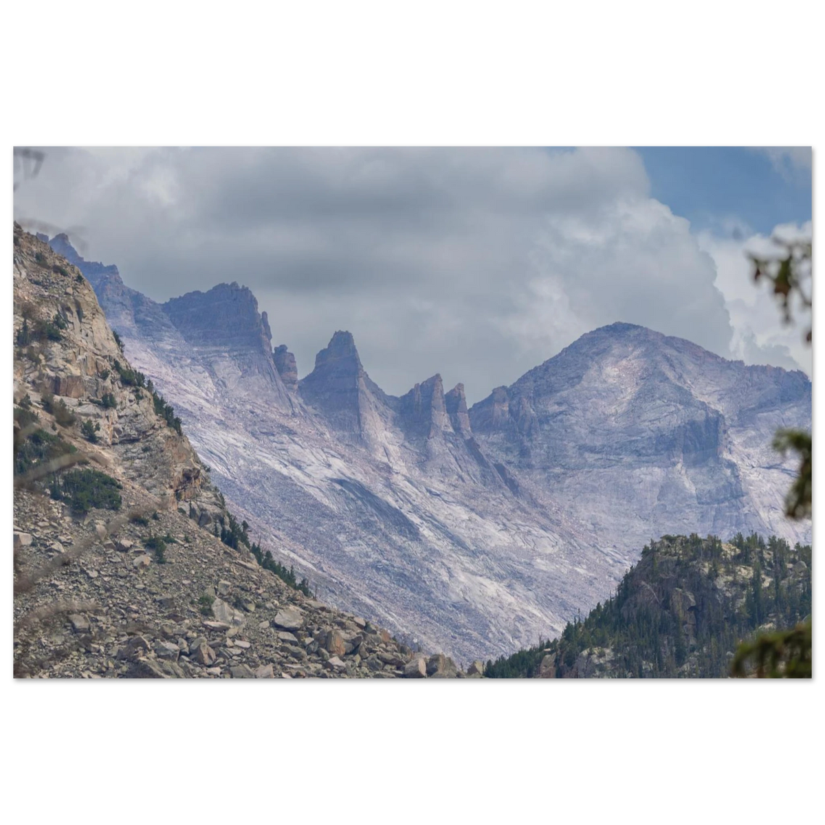 Infrared Redwoods — Dawn Sentinel — framed or canvas wall art preview