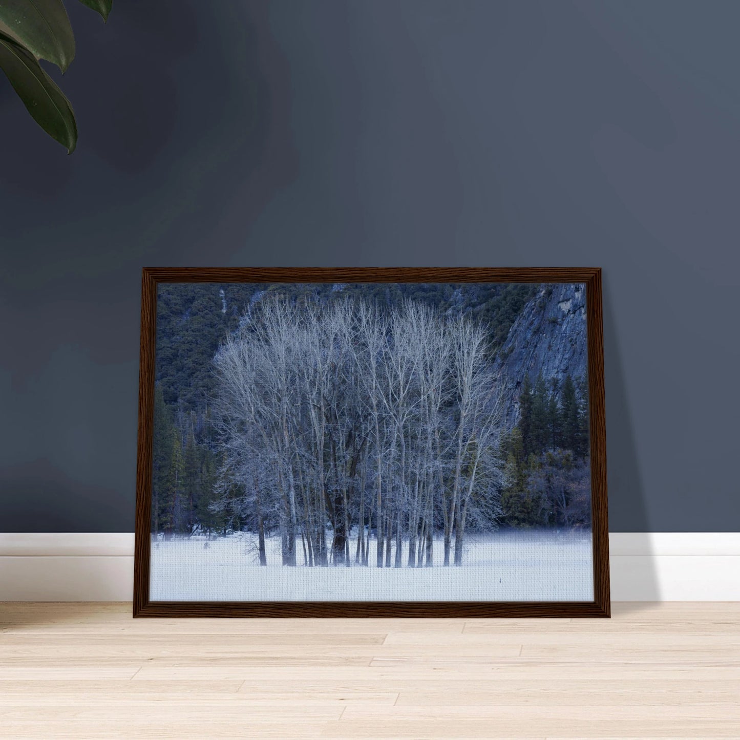 5b666da2-1bb8-4e7b-89d2-a55070c3ca3c