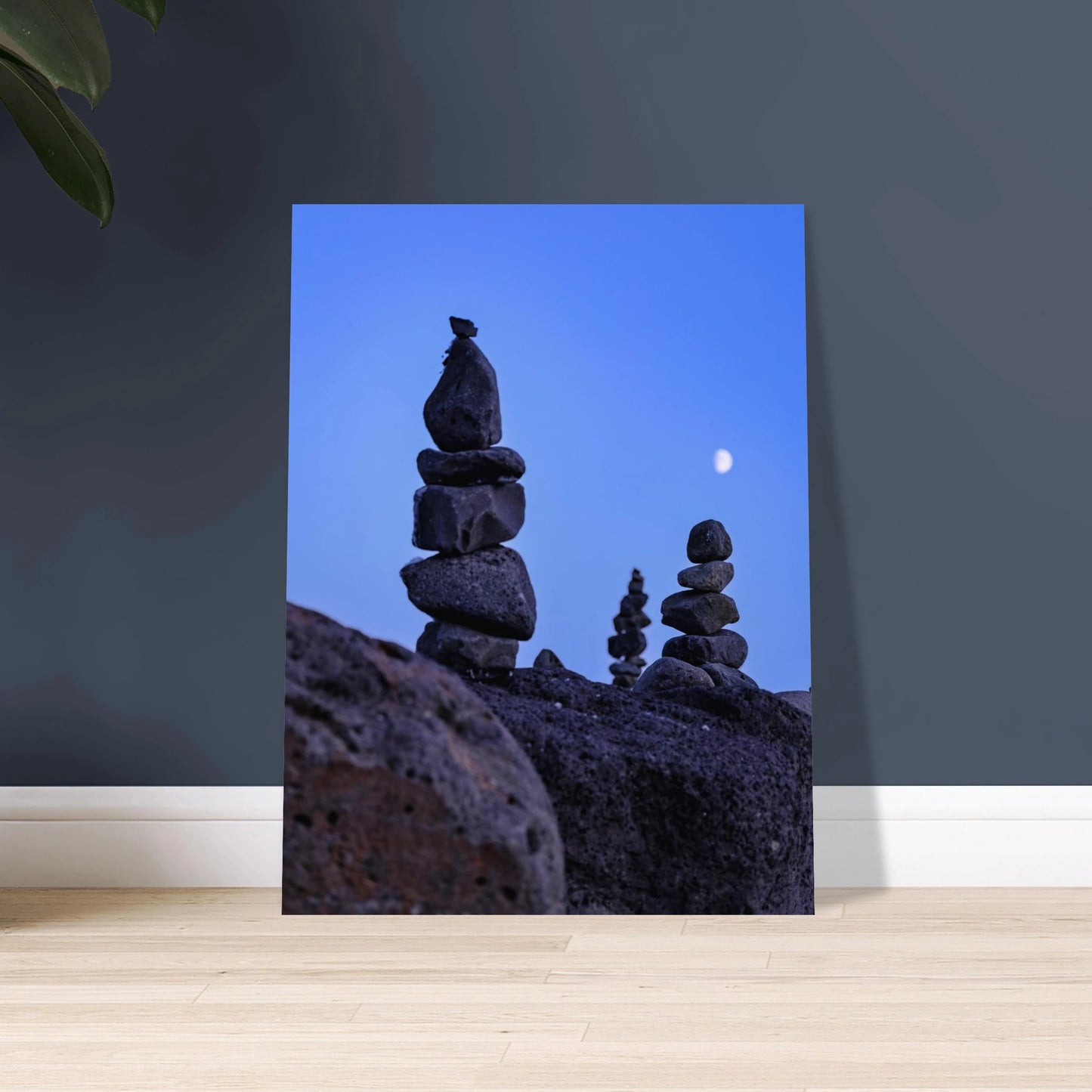 5c3ea70c-f5a9-4071-8c10-a5052f7304bc