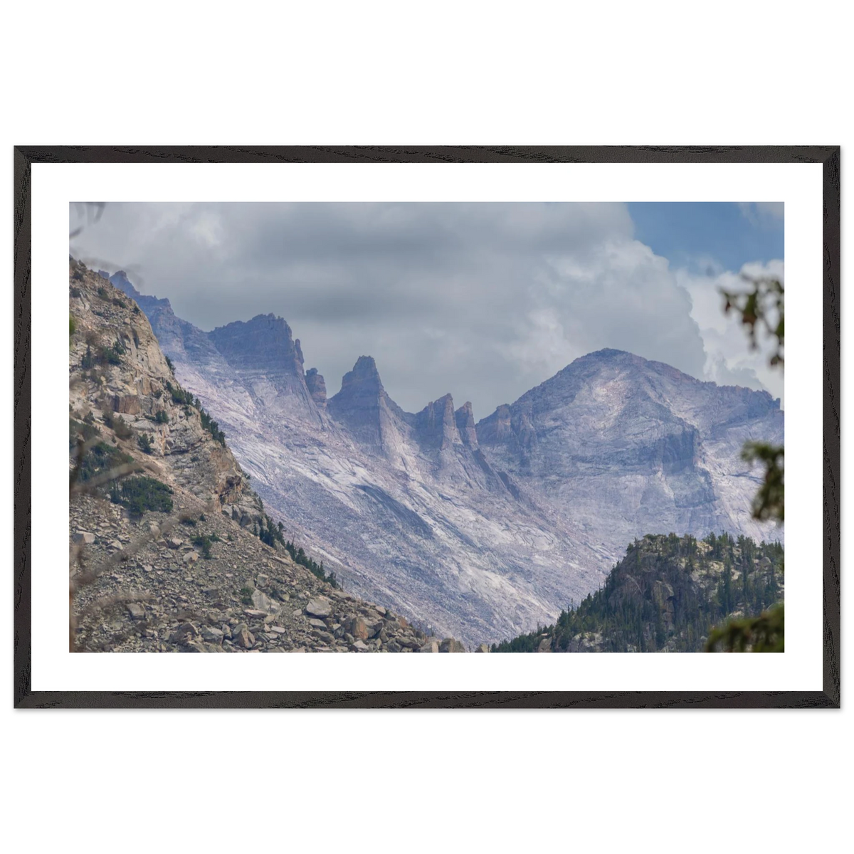 Infrared Redwoods — Dawn Sentinel — framed or canvas wall art preview
