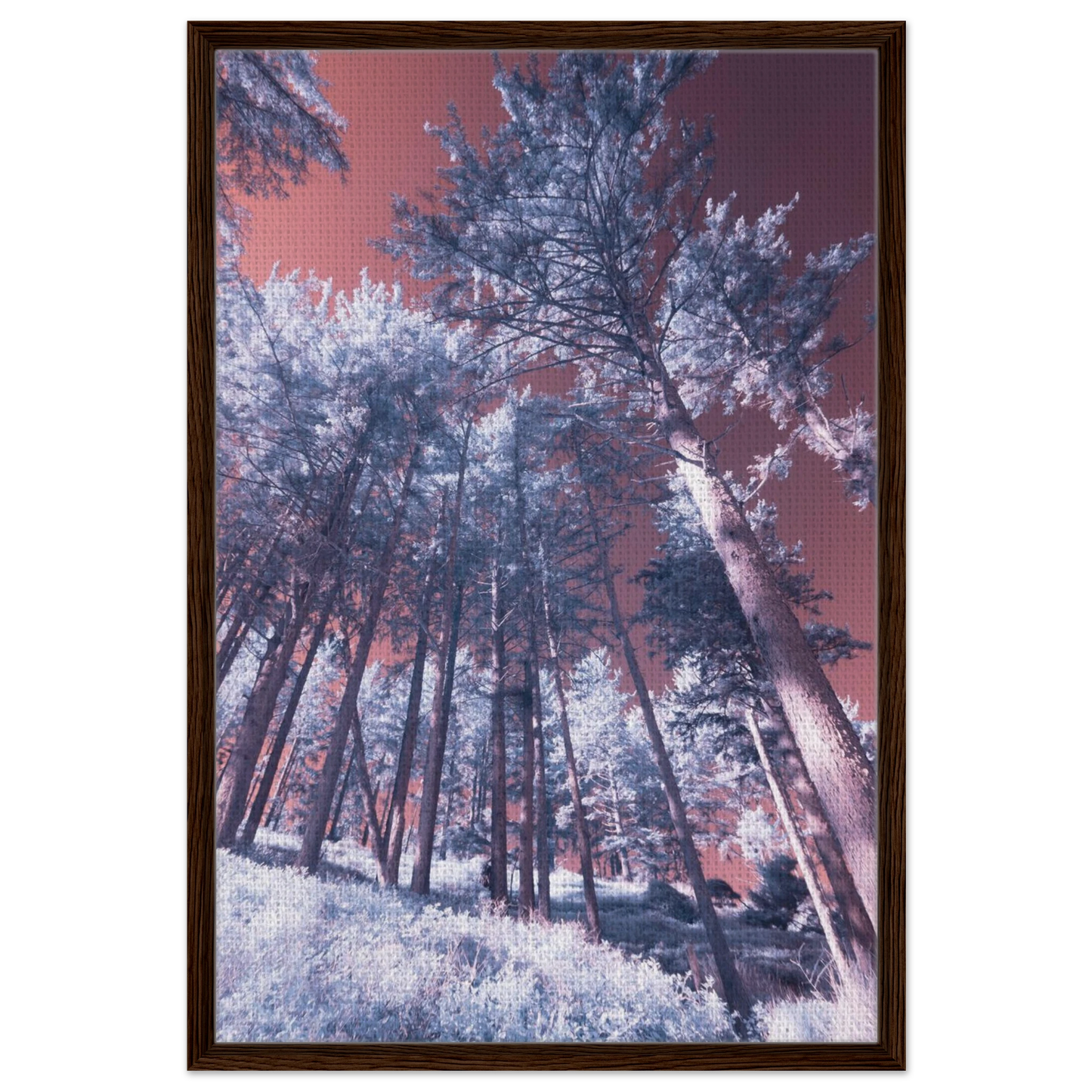 5d2f253e-d608-4dd1-97e9-8d28f2a1ddd7