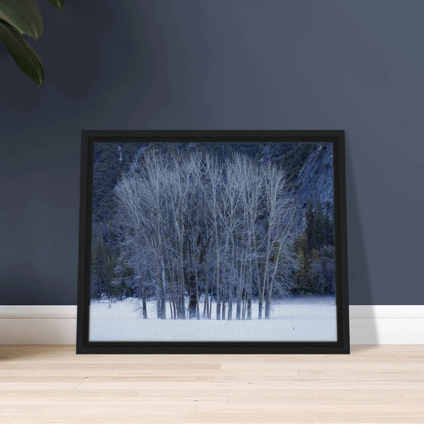 5d40ca5d-accd-40ef-8ee8-5d02f3b2c57d