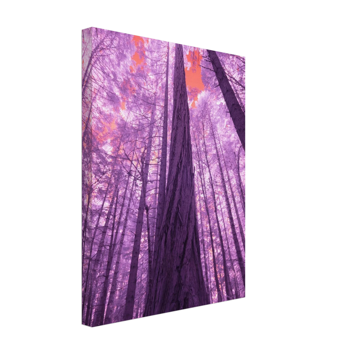 5d62f07e-521c-45f0-8b17-877bb66dc078