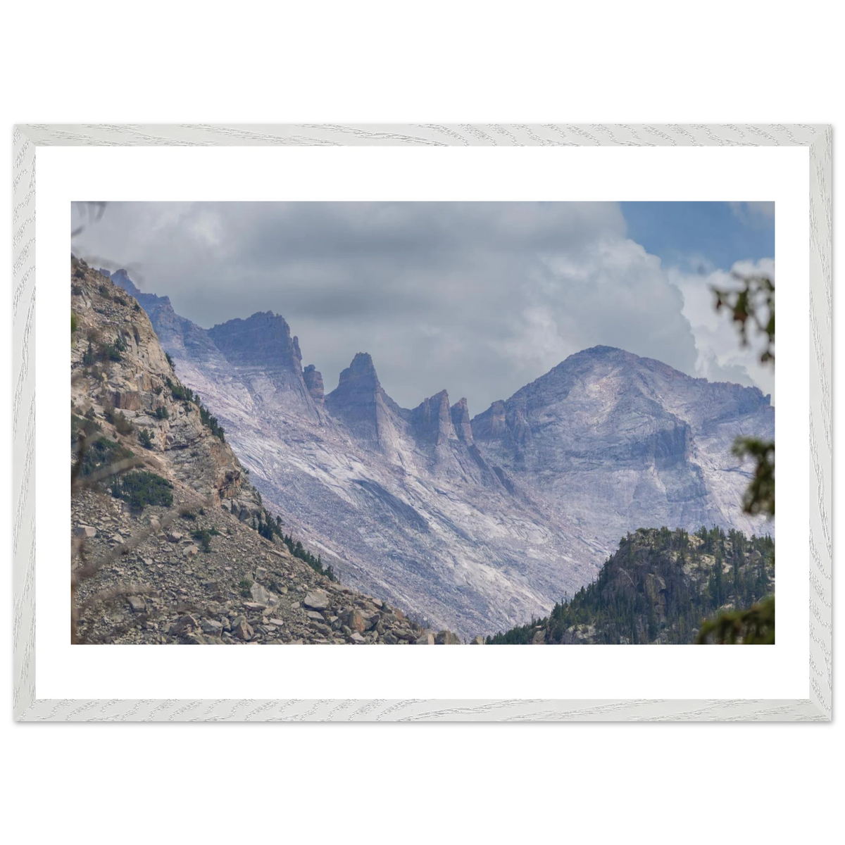 Infrared Redwoods — Dawn Sentinel — framed or canvas wall art preview