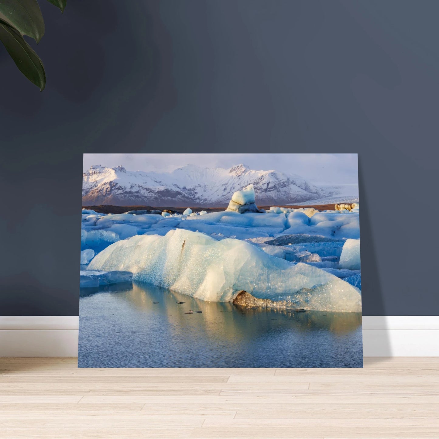 5e54267b-b271-48e8-9394-6f52d2422a88