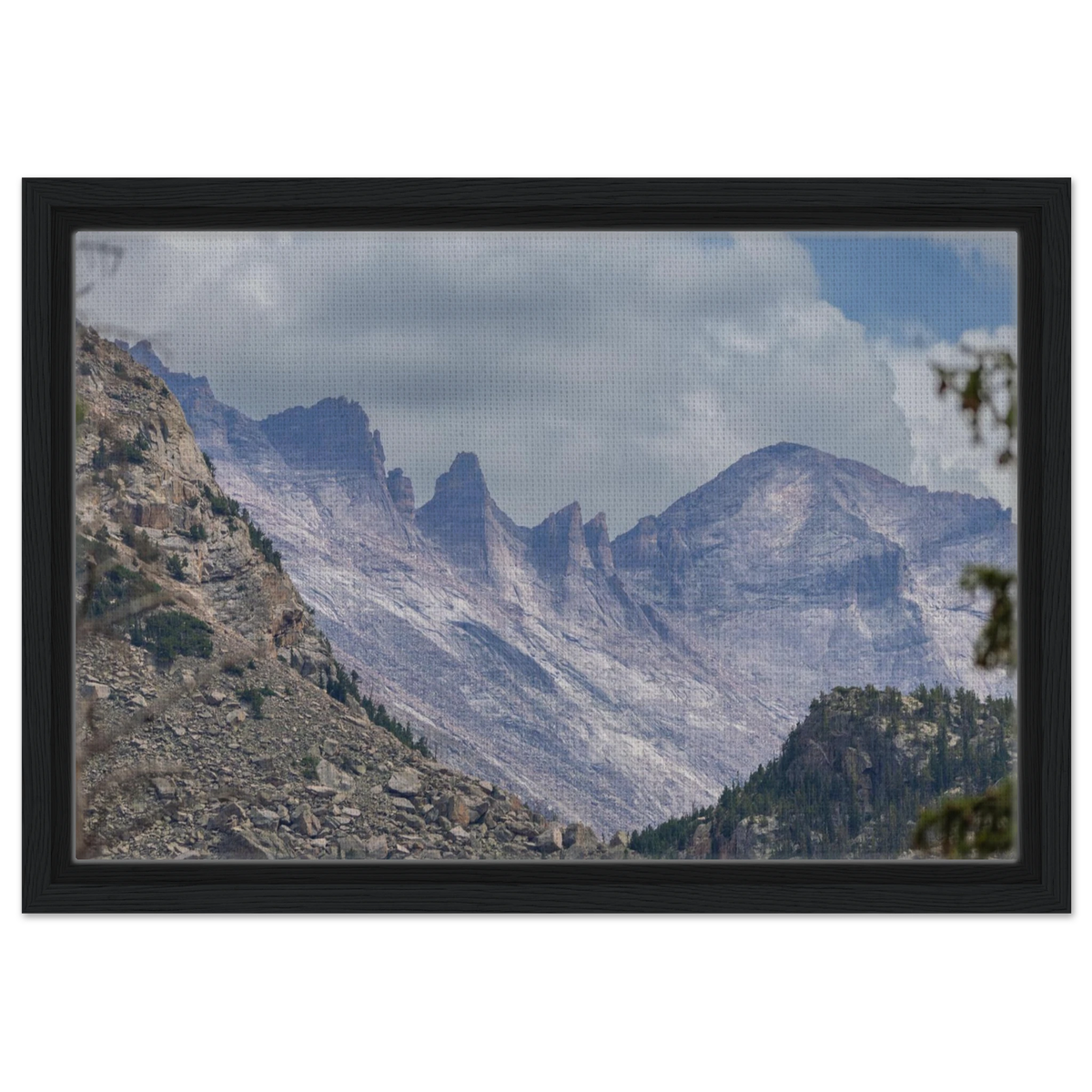 Infrared Redwoods — Dawn Sentinel — framed or canvas wall art preview