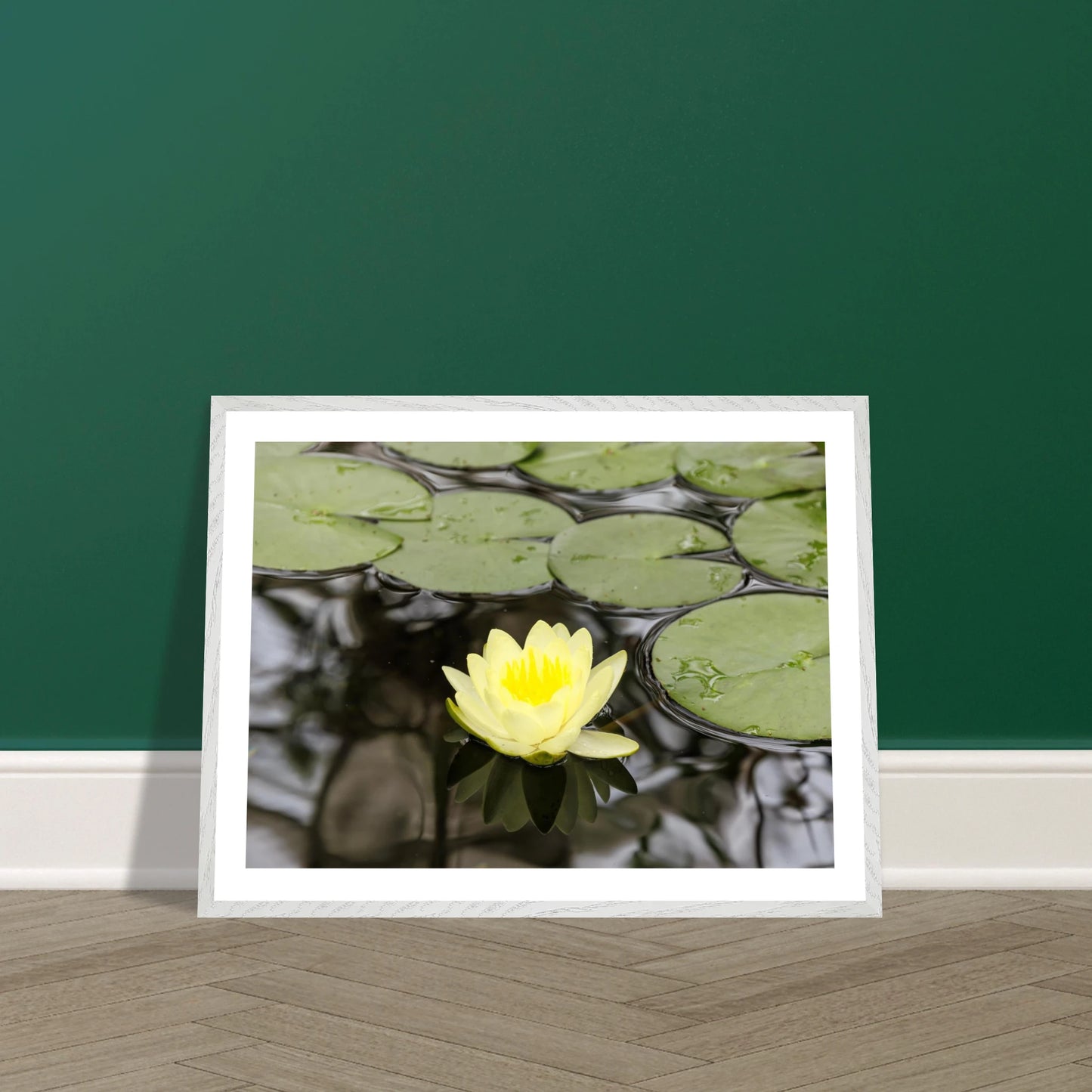 5f38df49-76a5-4532-825f-6134763458fe