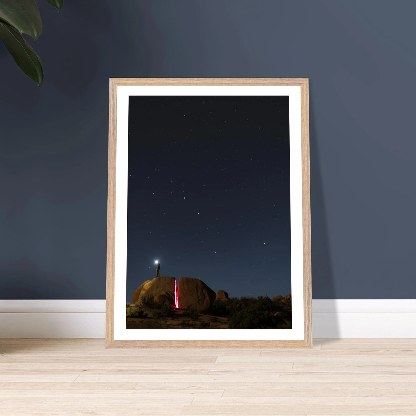 5fa82c38-851c-4a1e-85b2-8bd64d9efa77