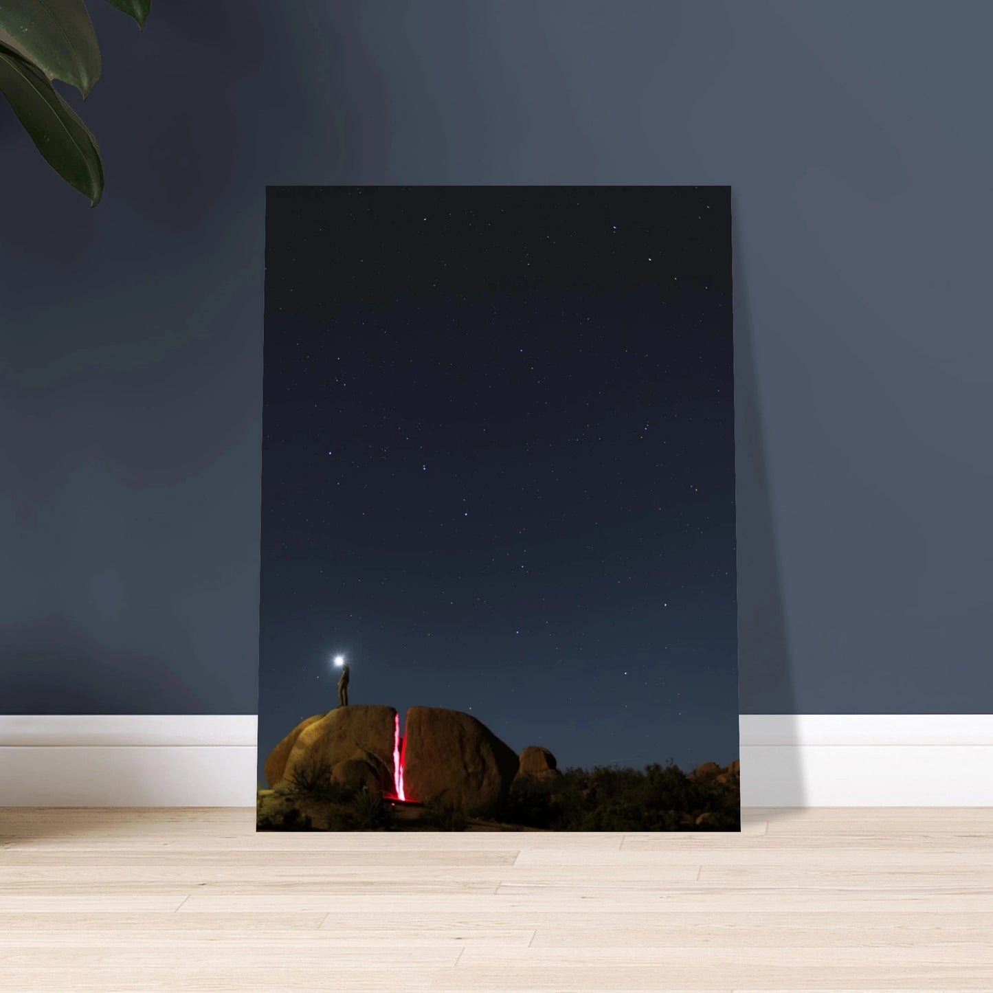 5fe3e21f-1ef7-4581-977c-3c54a55f8018