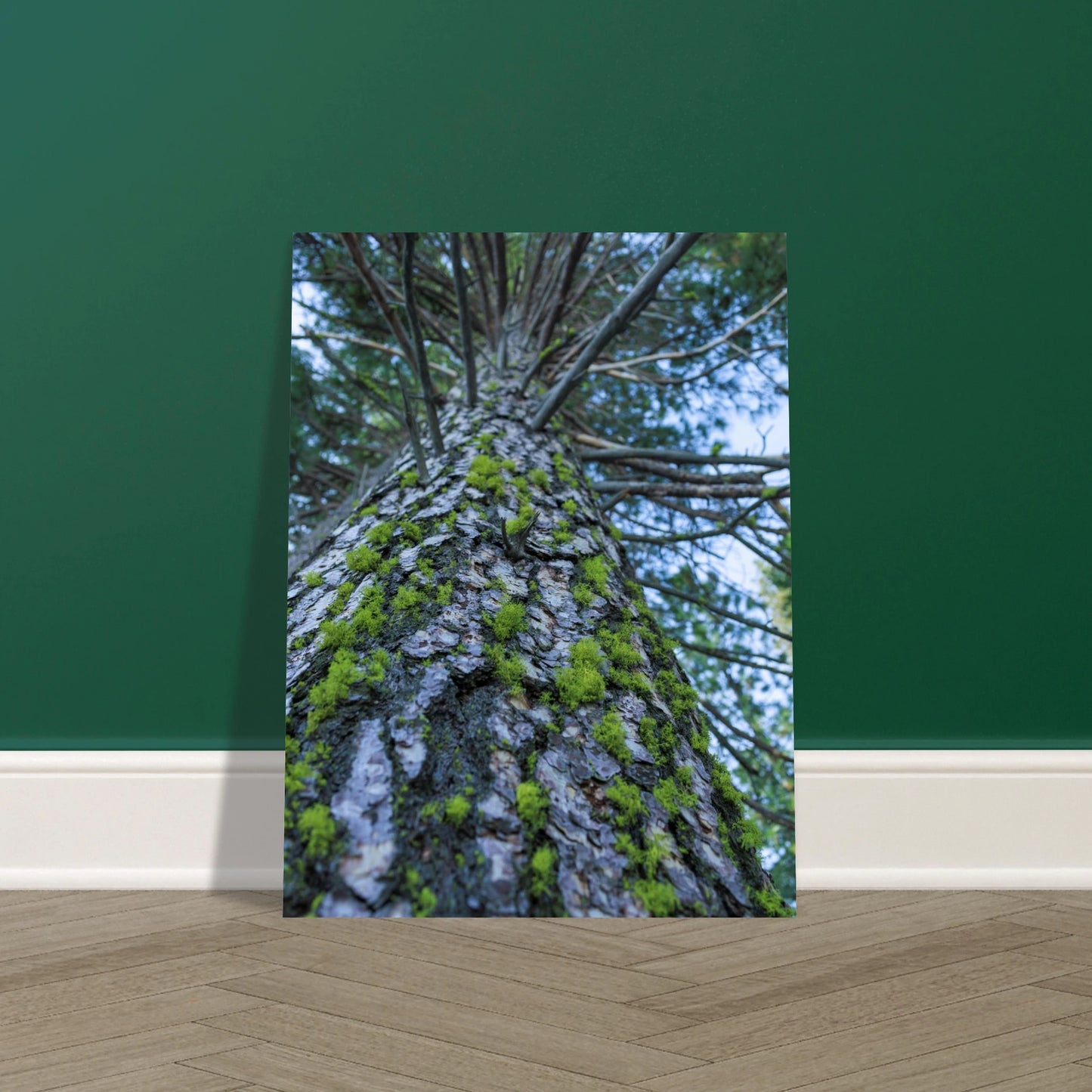 60611647-8b99-4f24-8a2b-52368a3864e0