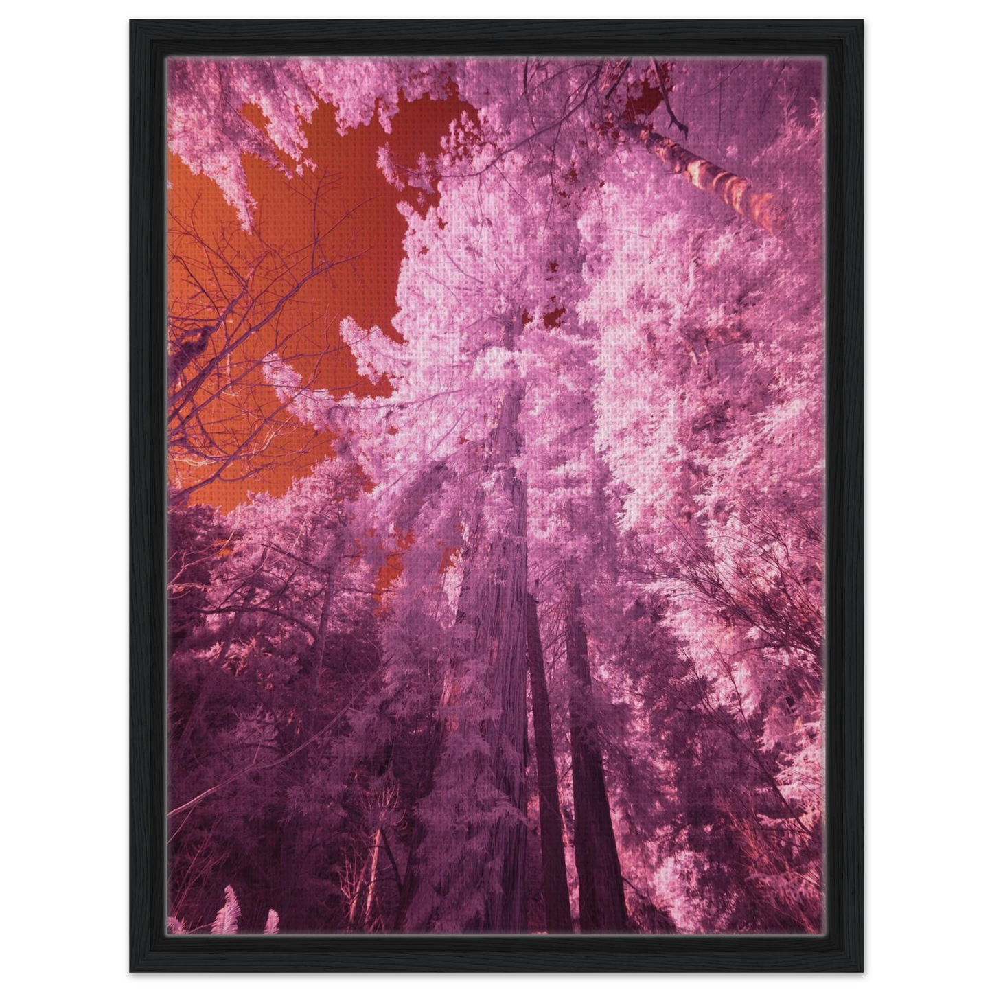 6083d925-268e-4c0d-b618-ad8d2363b00a