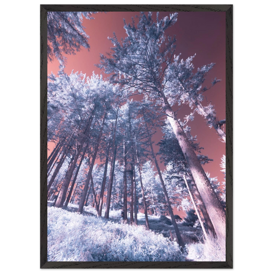 62217378-fa0b-4be5-b49a-ee9742f23bda