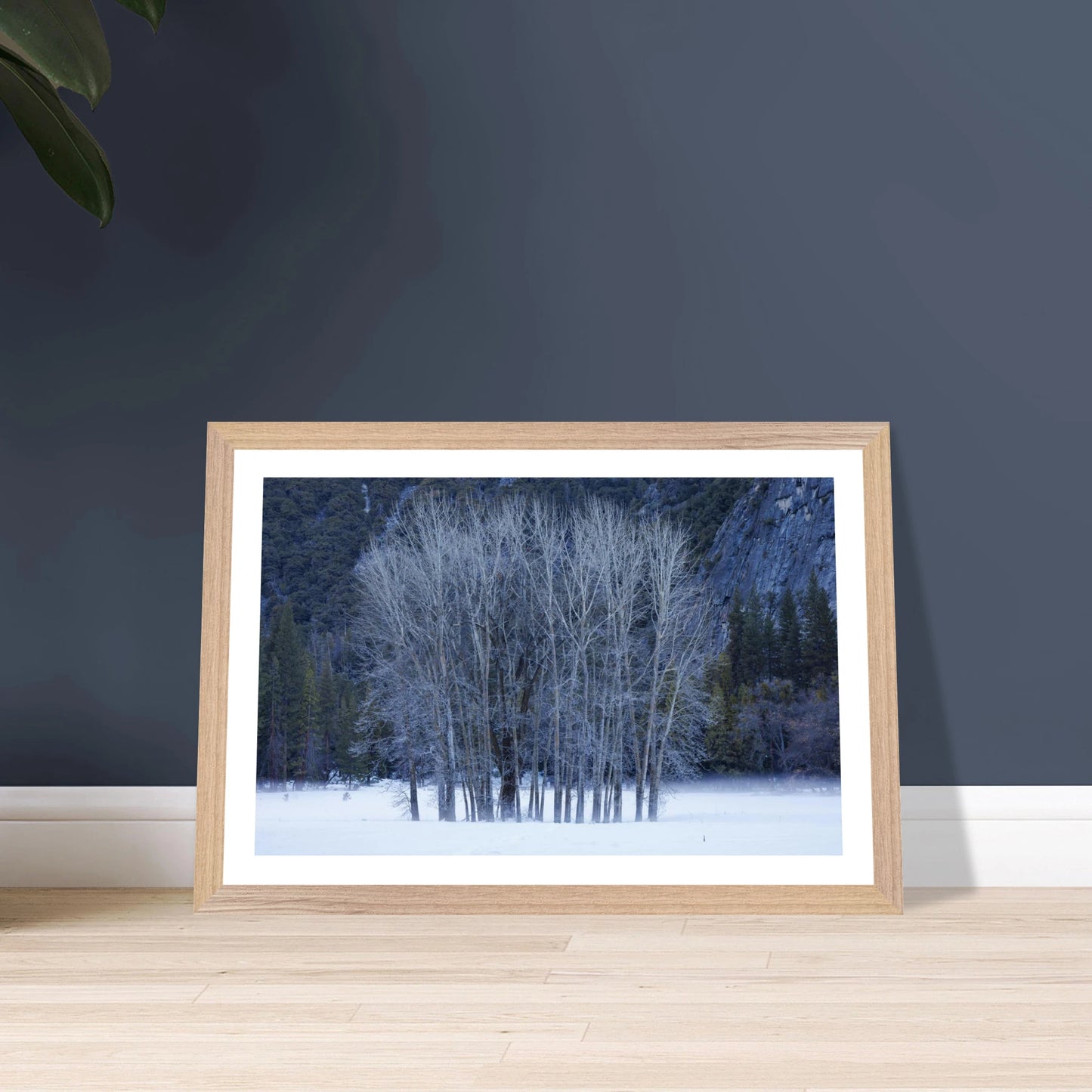 622e00df-c513-456c-999d-782d747f86ec