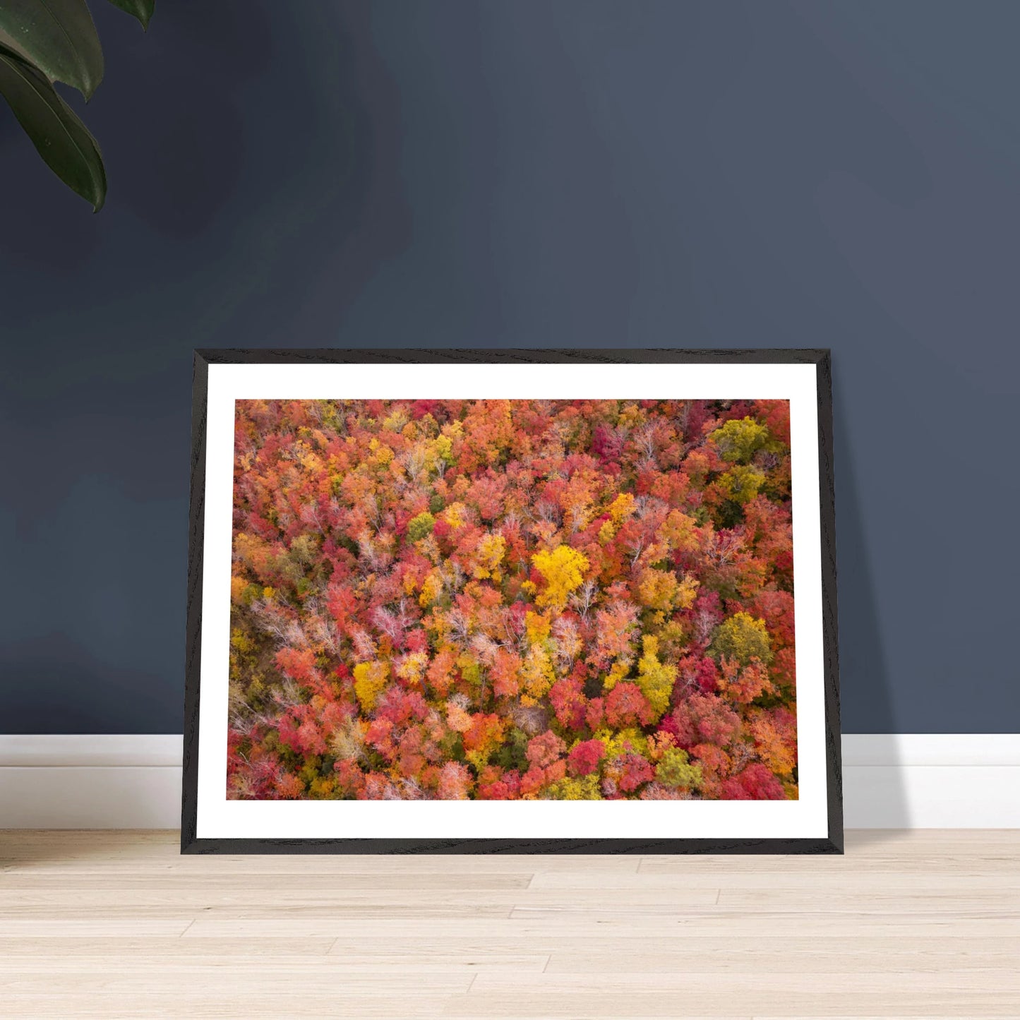 6232f107-8230-4940-b109-3bb22af4afaa