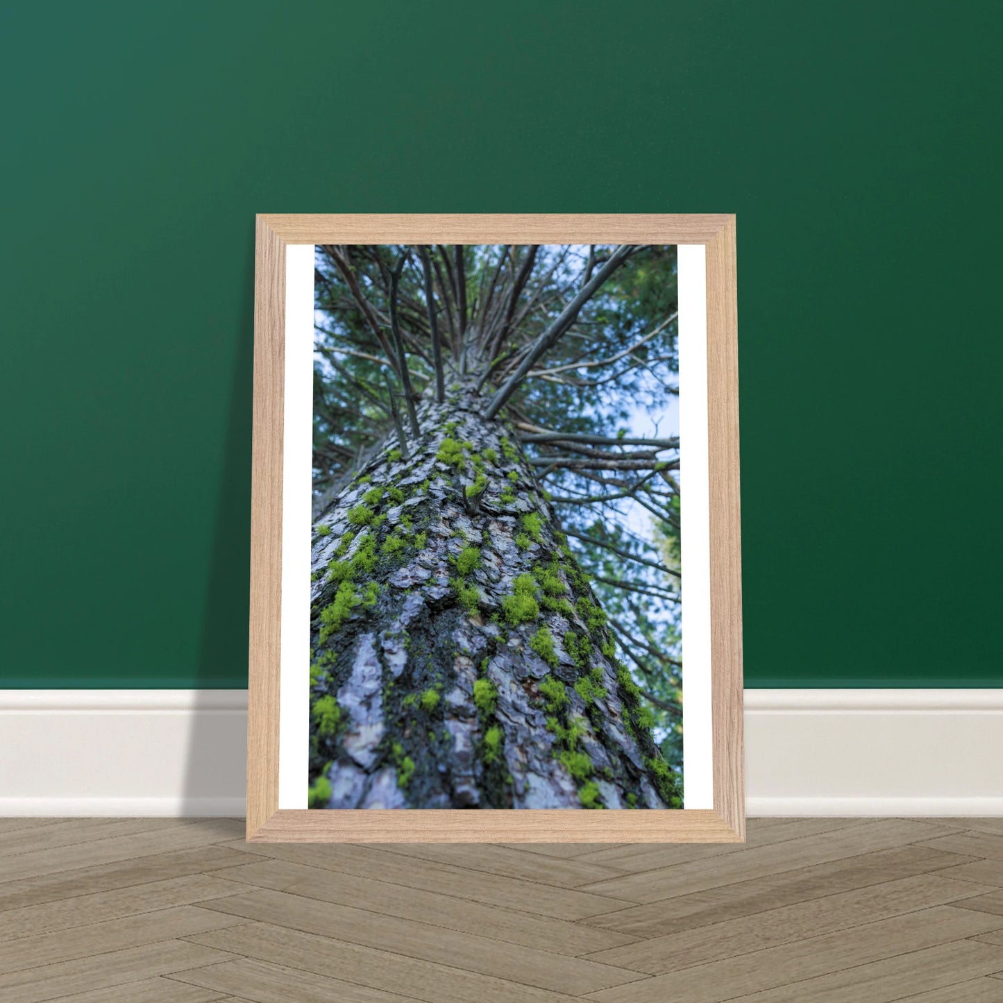 62e8b882-7288-4c6f-a03d-f3f63aebff52