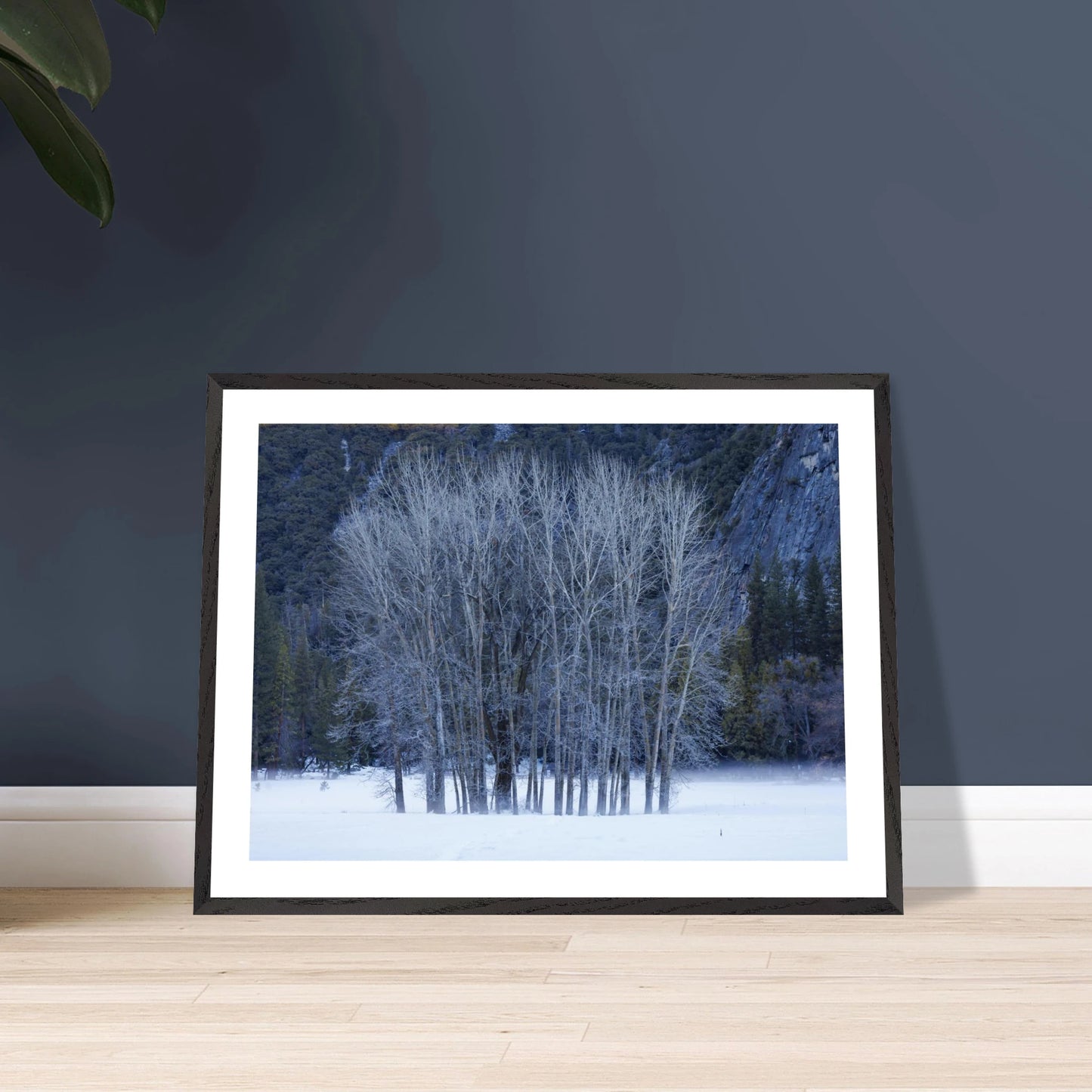 63b9bcb5-5771-412b-9027-6f2955dd7c0b