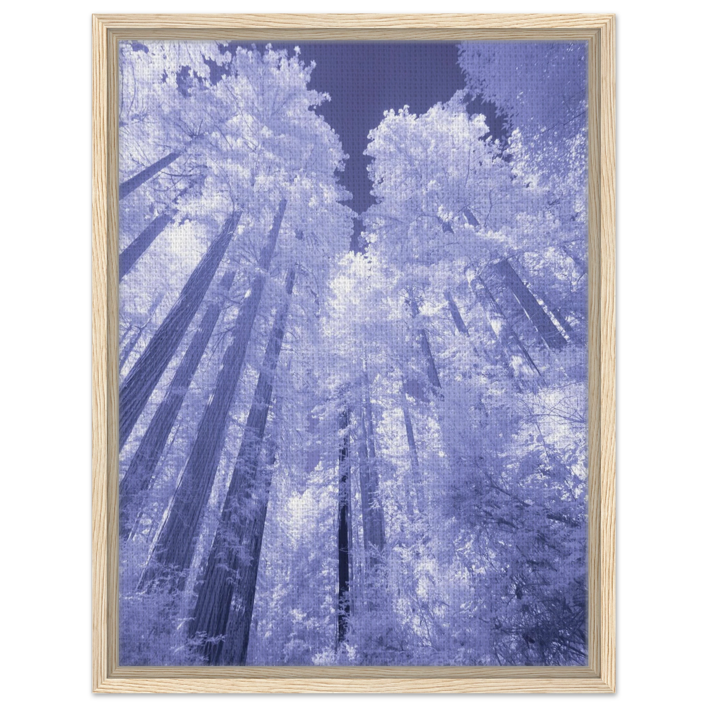 6577e8f1-c6ab-45b4-907c-d7254663fded