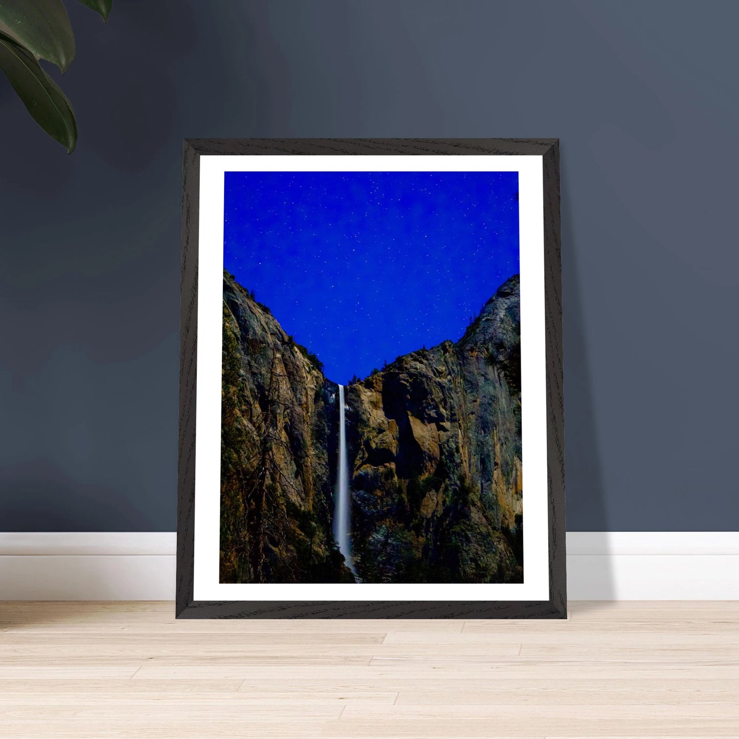 6697aad6-341c-4634-8f21-f608c69aba65