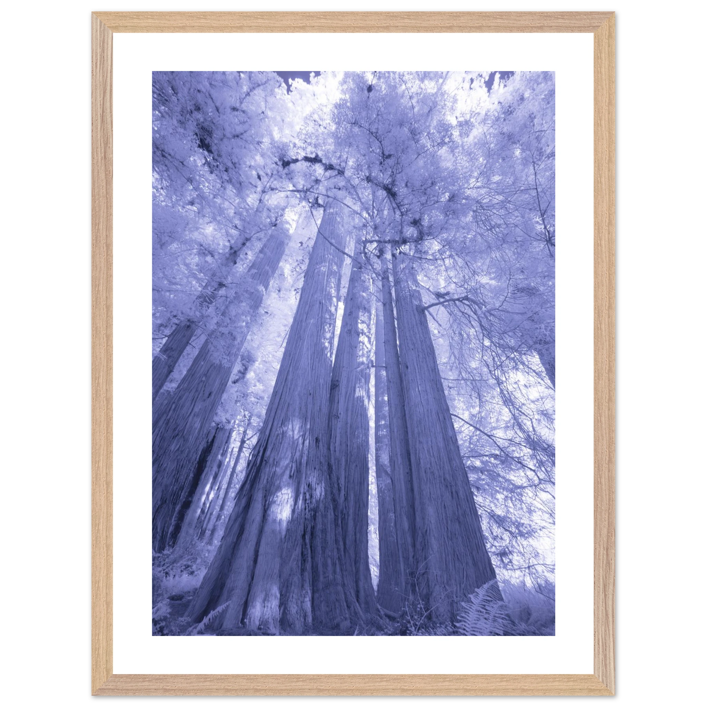 66c1e065-b84f-4ef6-bc33-6e55e7242f25
