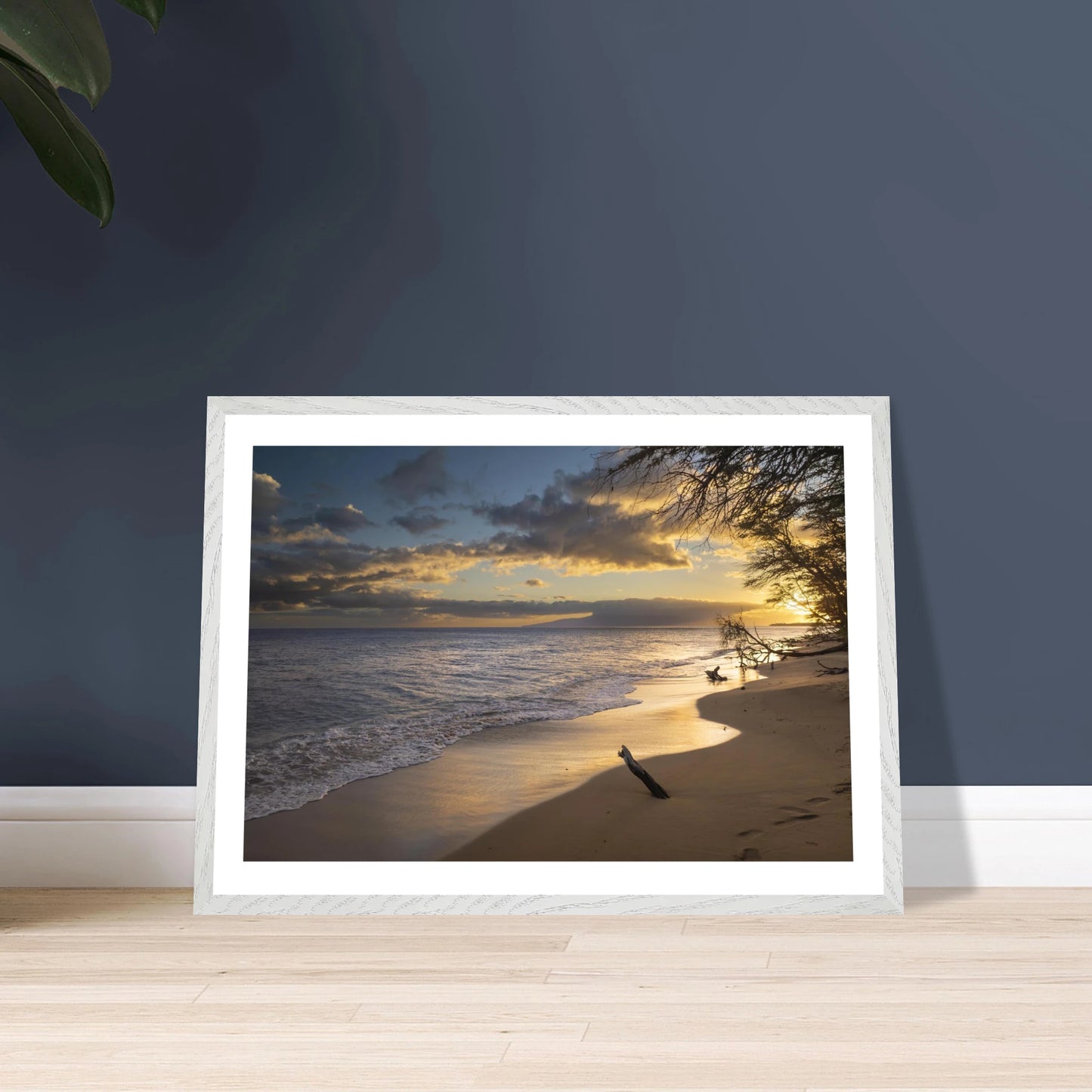 69c88fb1-f340-441d-9764-27d70117e110