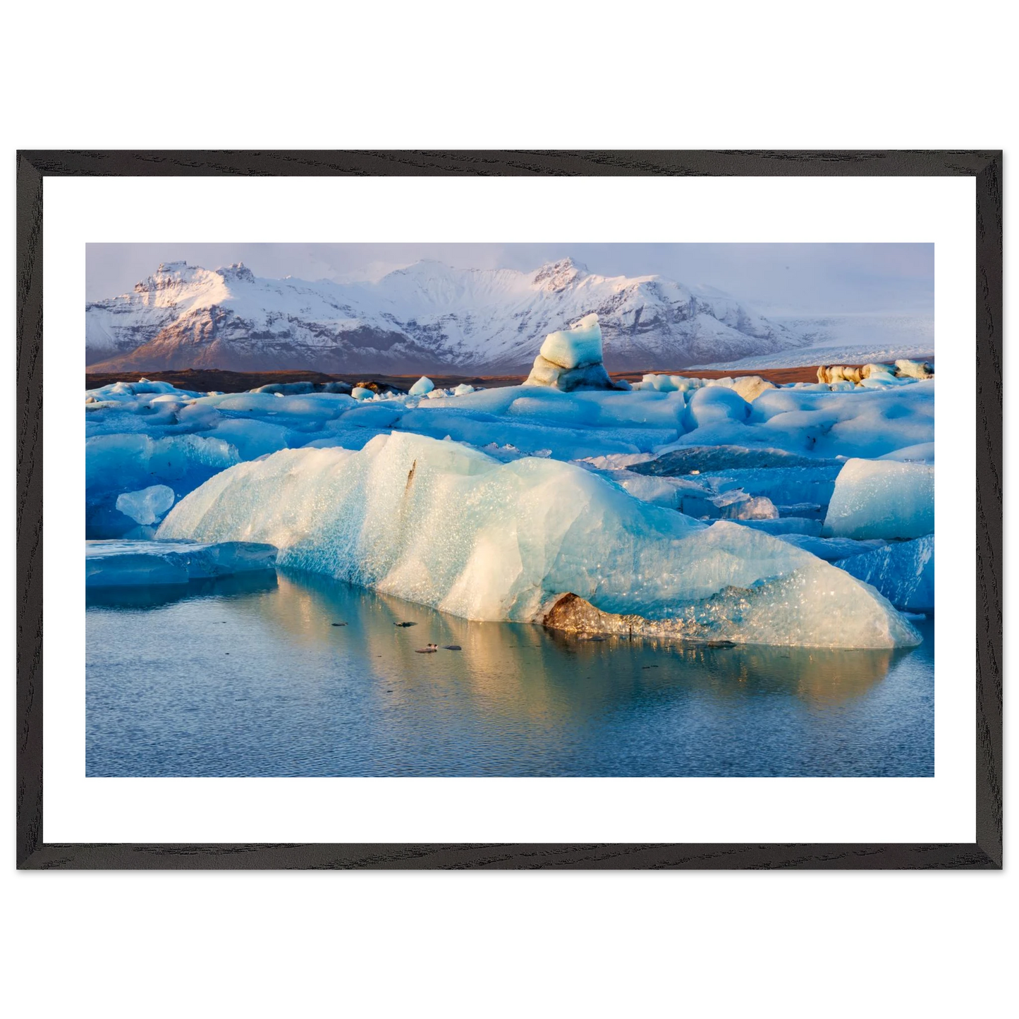 6bb77fea-a99f-4c0d-aa62-5882e3a82b81