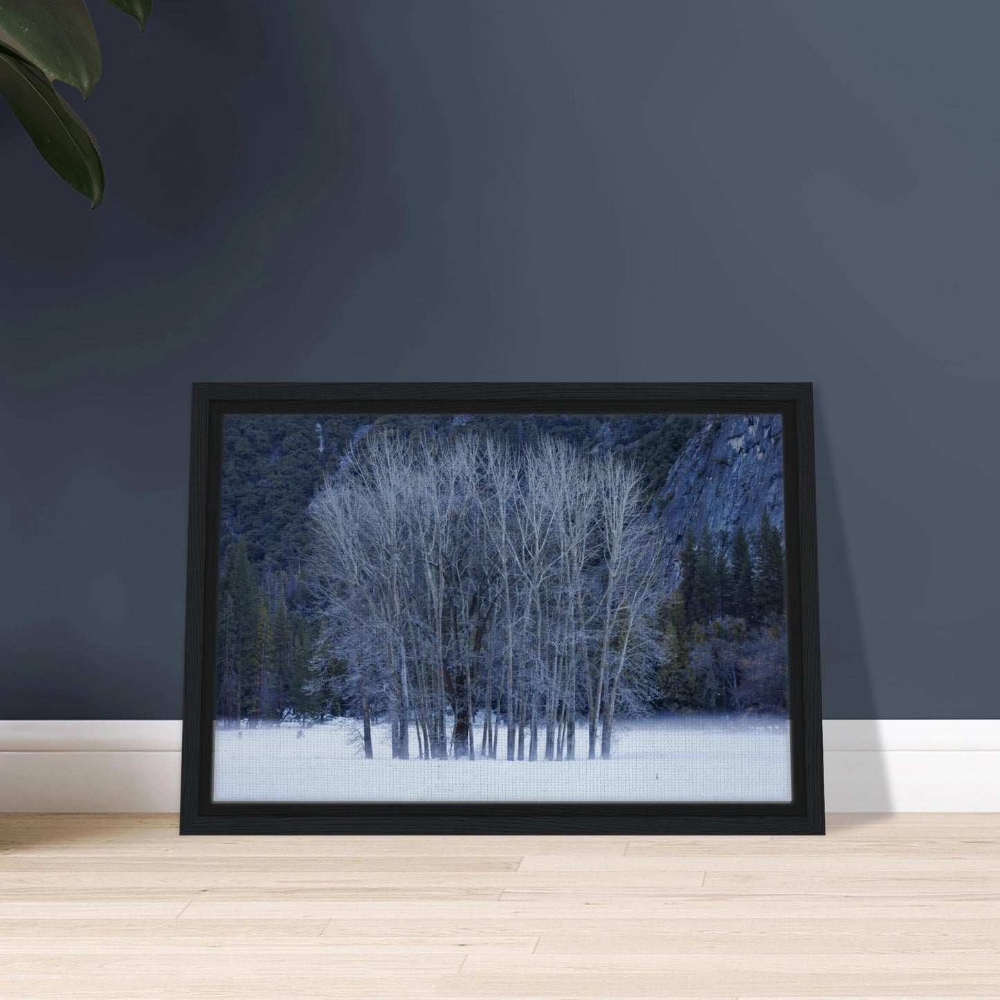 6c11b2e4-eb42-4b3a-af3d-0c5730ccdd4d