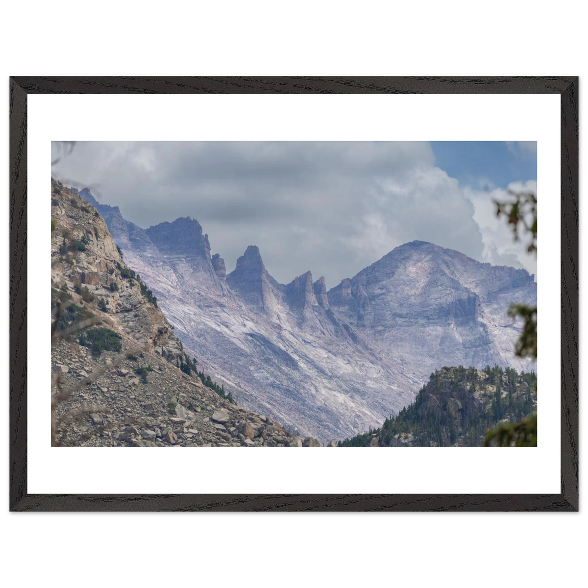 Infrared Redwoods — Dawn Sentinel — framed or canvas wall art preview