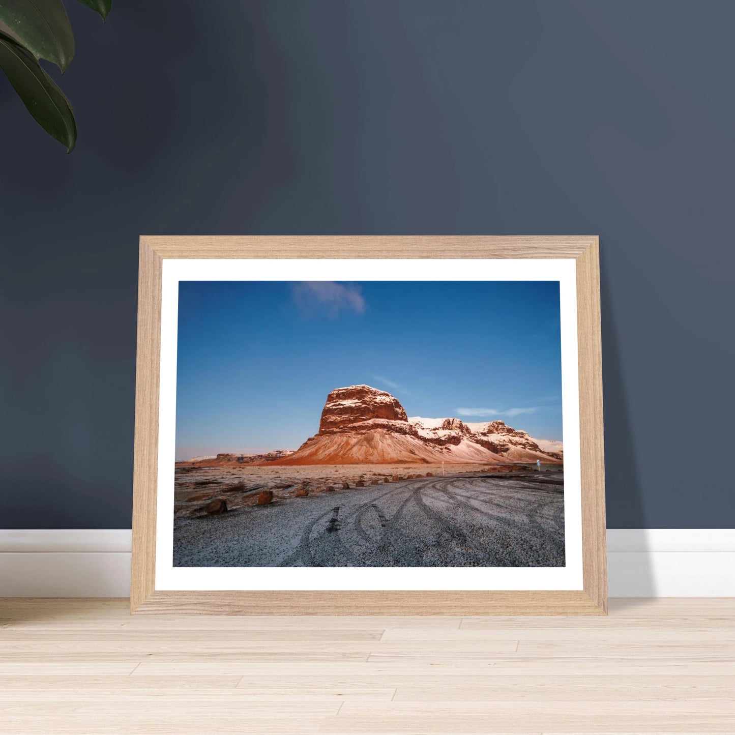 6d71a8db-58b6-4840-9a07-849dd23a17bb