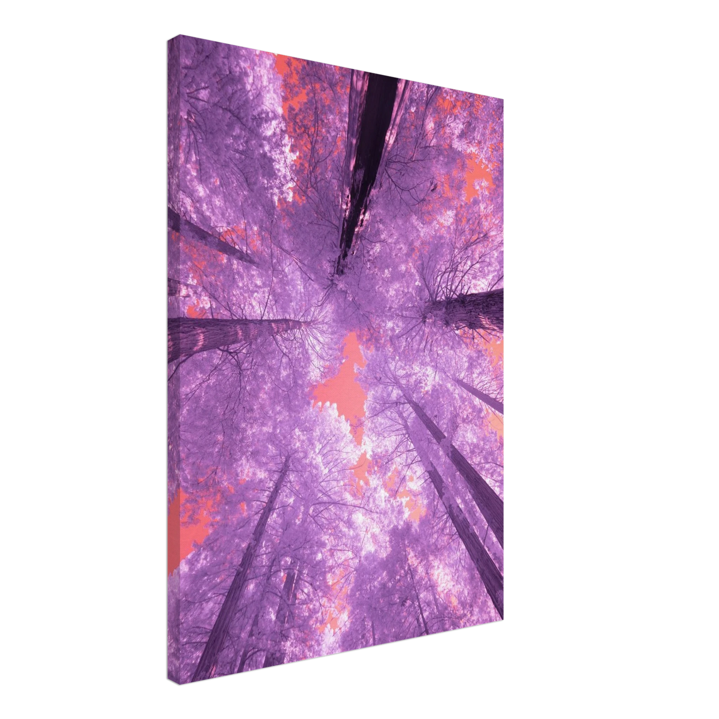 6f307cff-e34a-4889-bd21-e68379fb938a