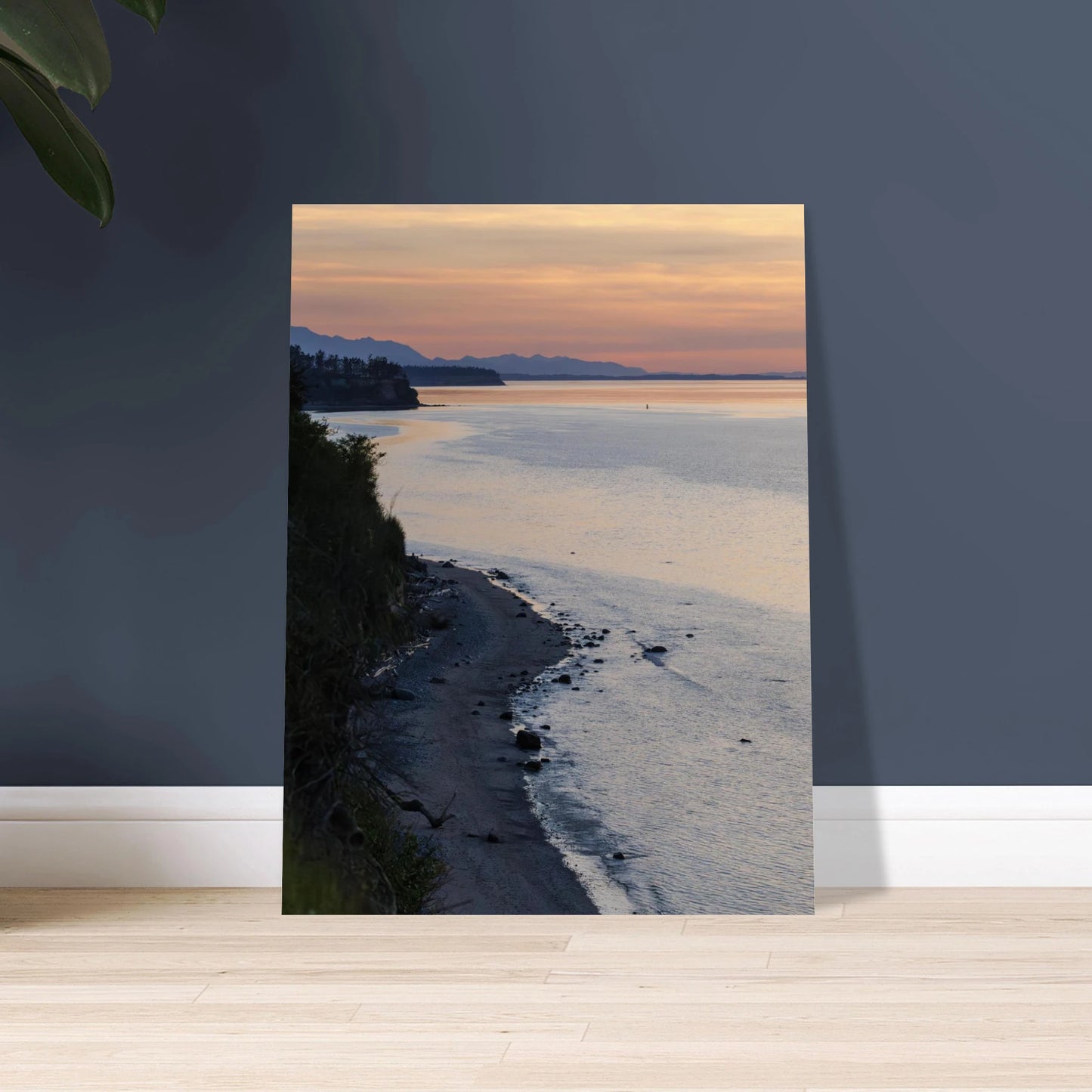 6fa11e7f-8bb5-4eb3-9c67-eb4dea5e63a3