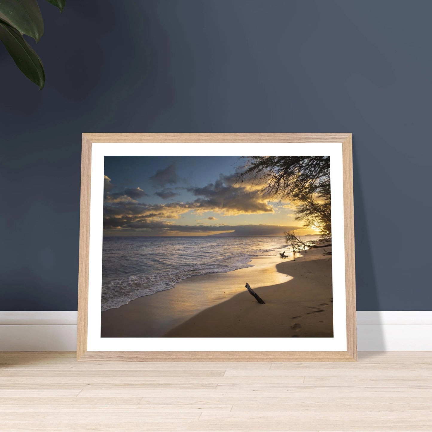 6fe85de3-a063-46dc-ae80-d9e209c00d2a