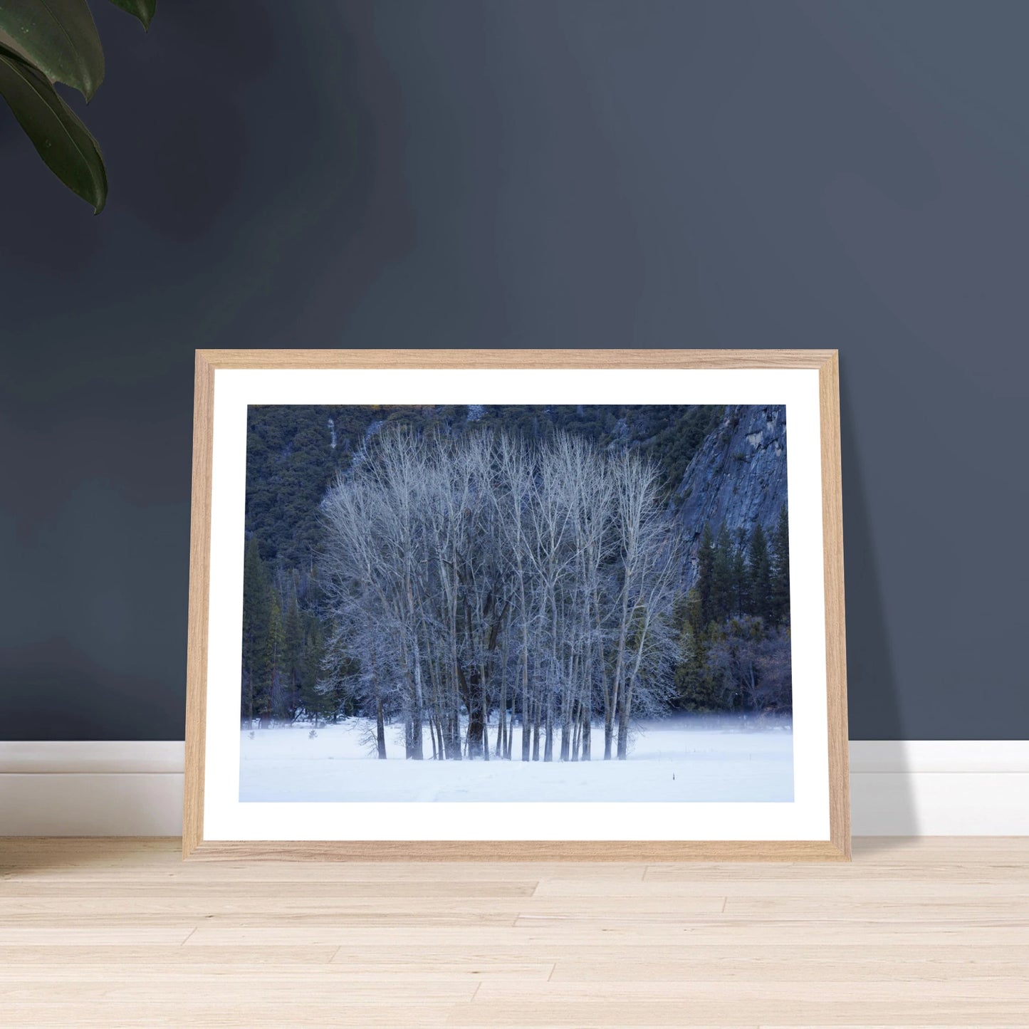 6ff6a34a-0fe4-4a02-86c6-390feecab2ee