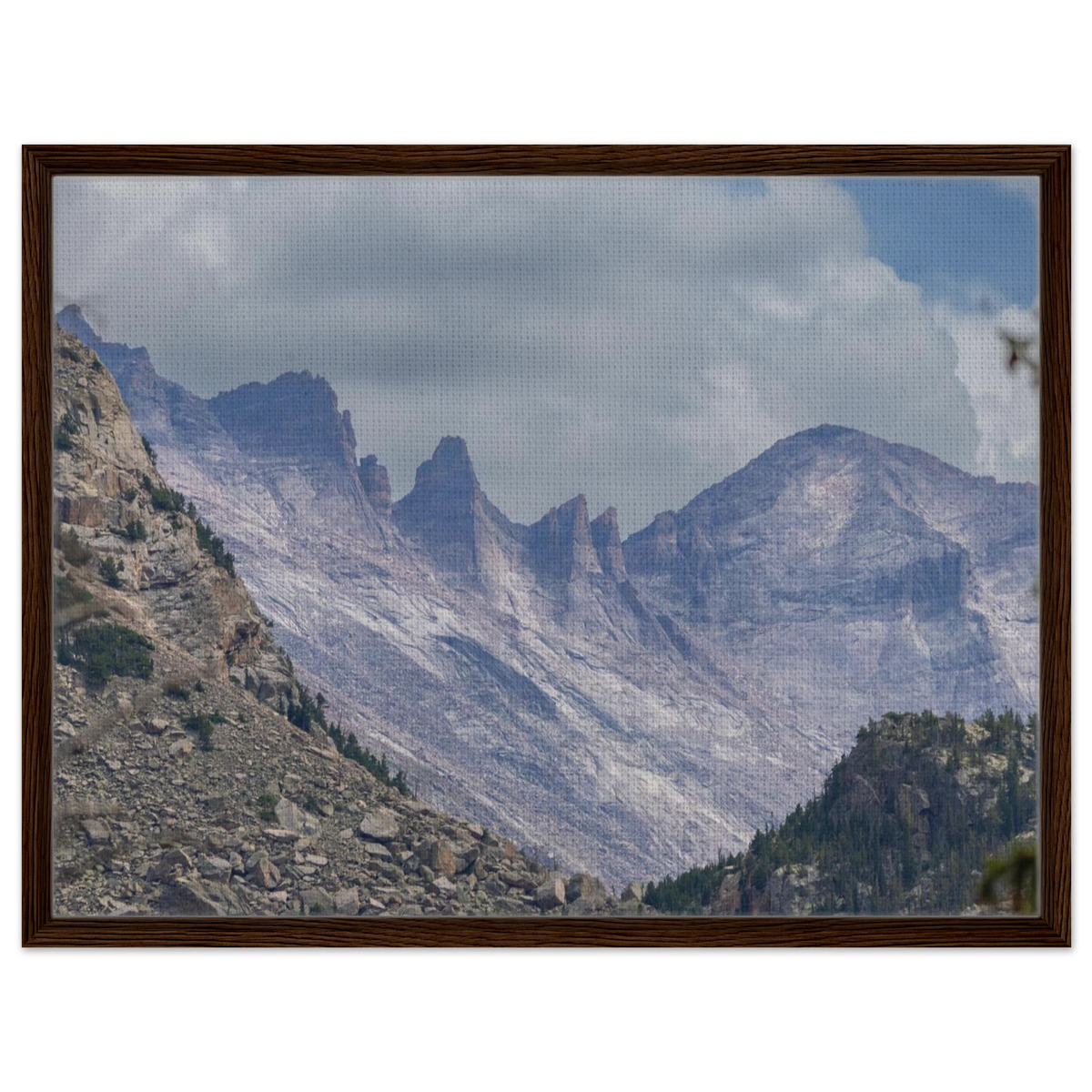 Infrared Redwoods — Dawn Sentinel — framed or canvas wall art preview
