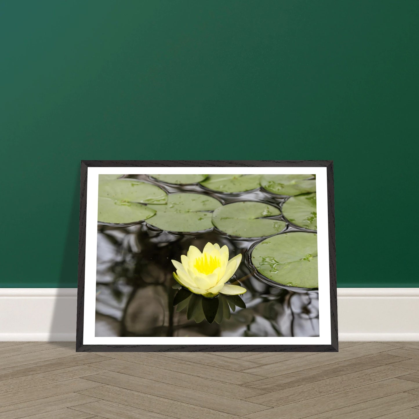 738e4a34-d6ba-4402-9305-da938f2f57e2