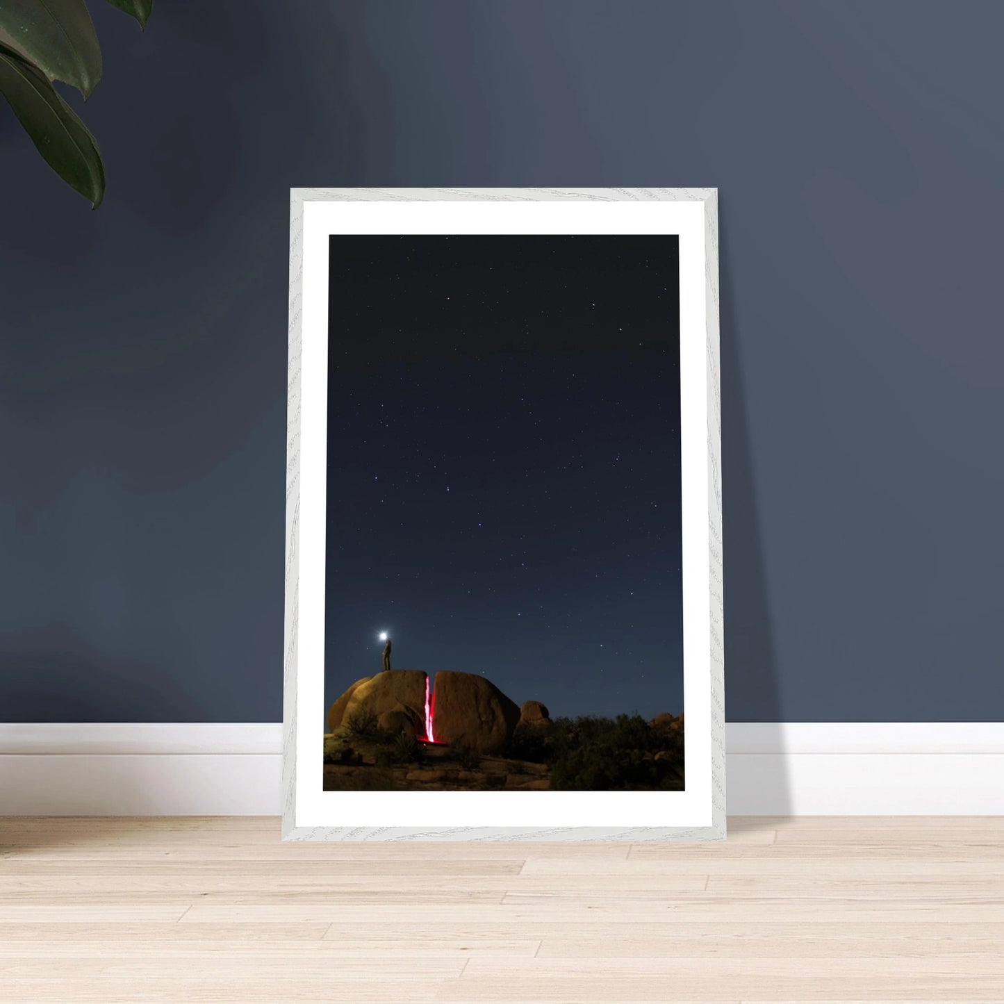 74209979-a472-4af3-8357-24221498d7ed