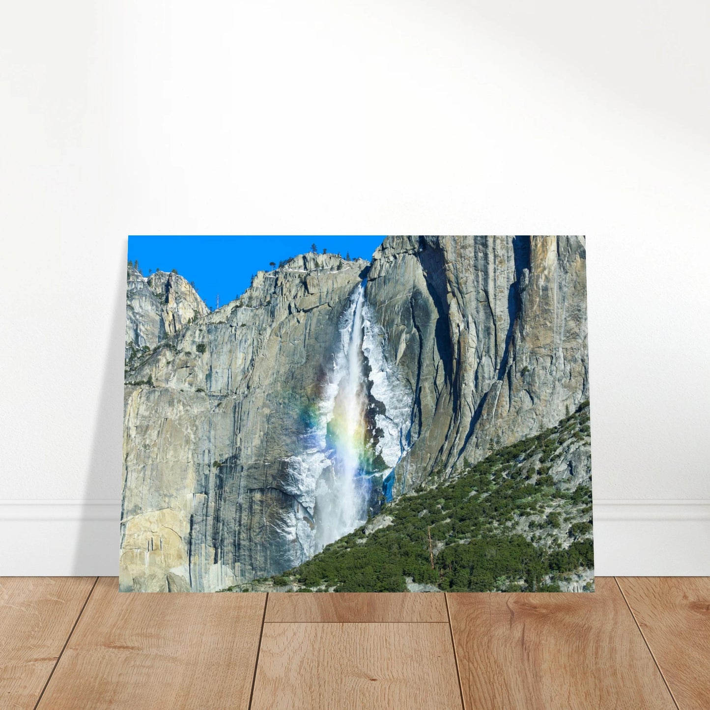 74ced73e-0a14-446e-870d-602cc68d4486