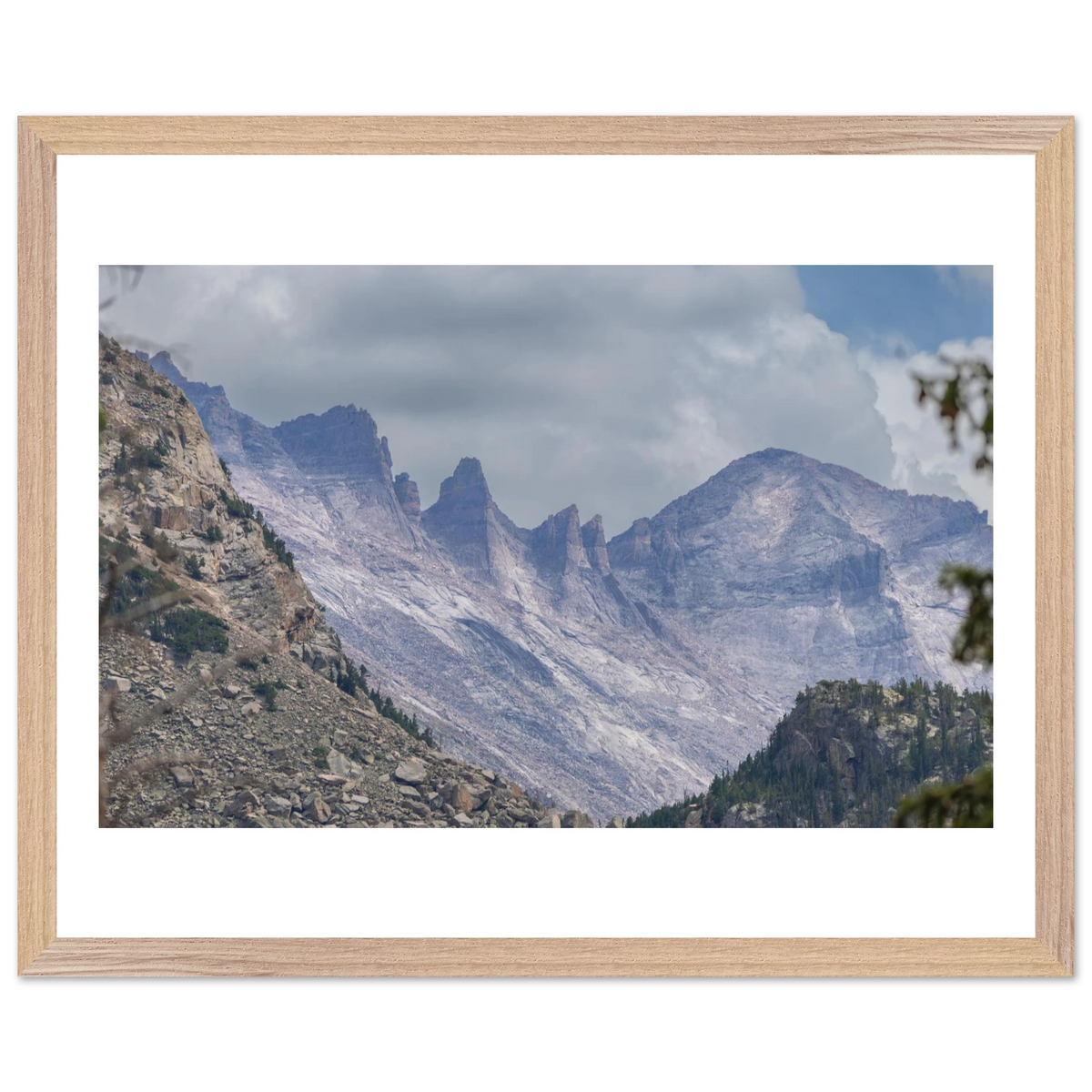 Infrared Redwoods — Dawn Sentinel — framed or canvas wall art preview
