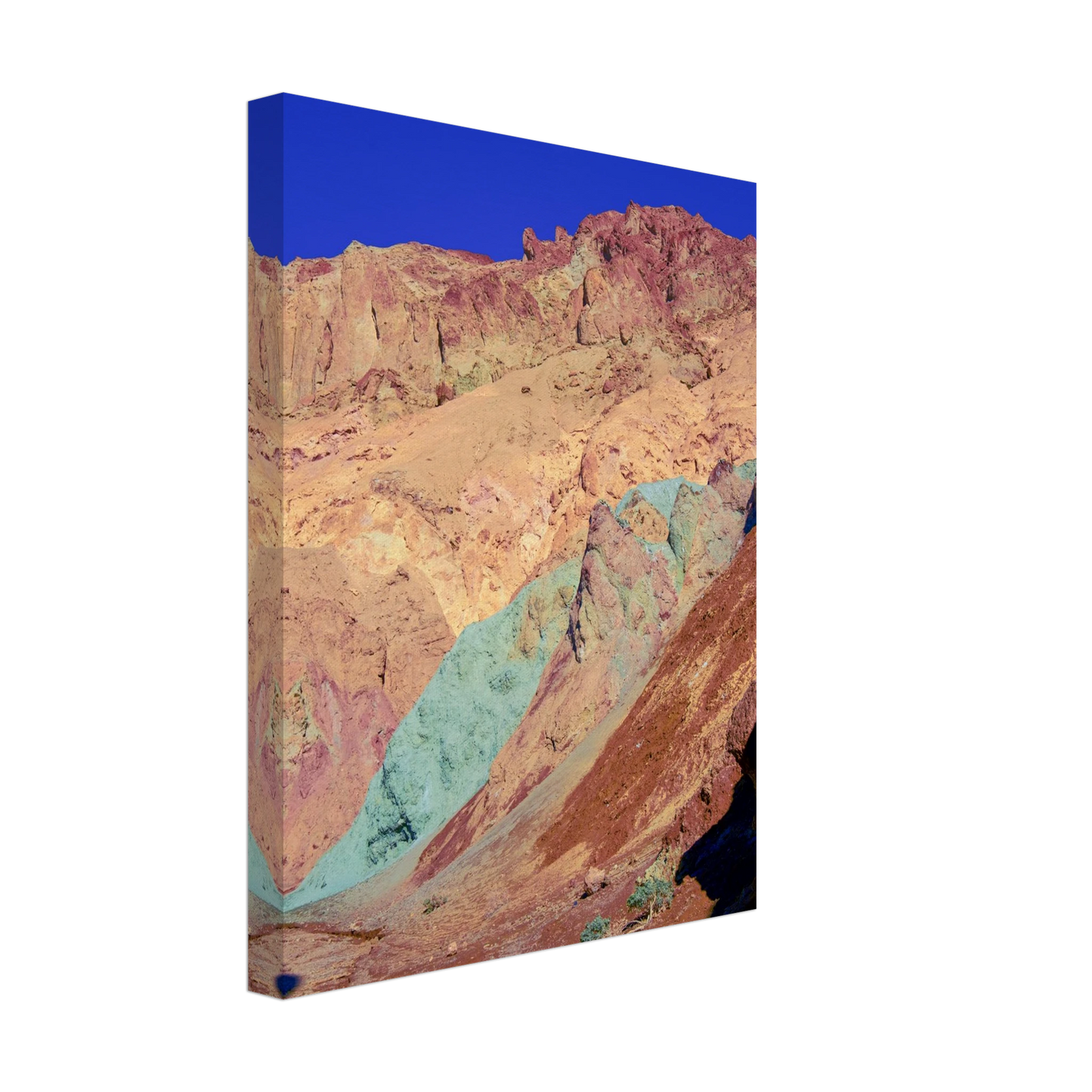 76724577-cd1e-4093-86c4-f7530887c900