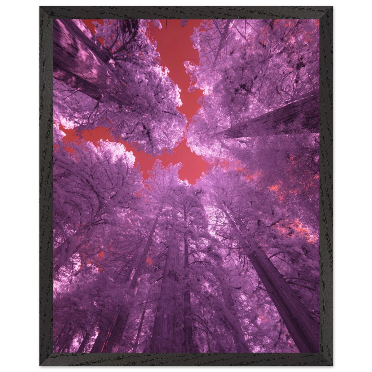 77c739af-f7bc-4e69-b985-3d083c2157d4